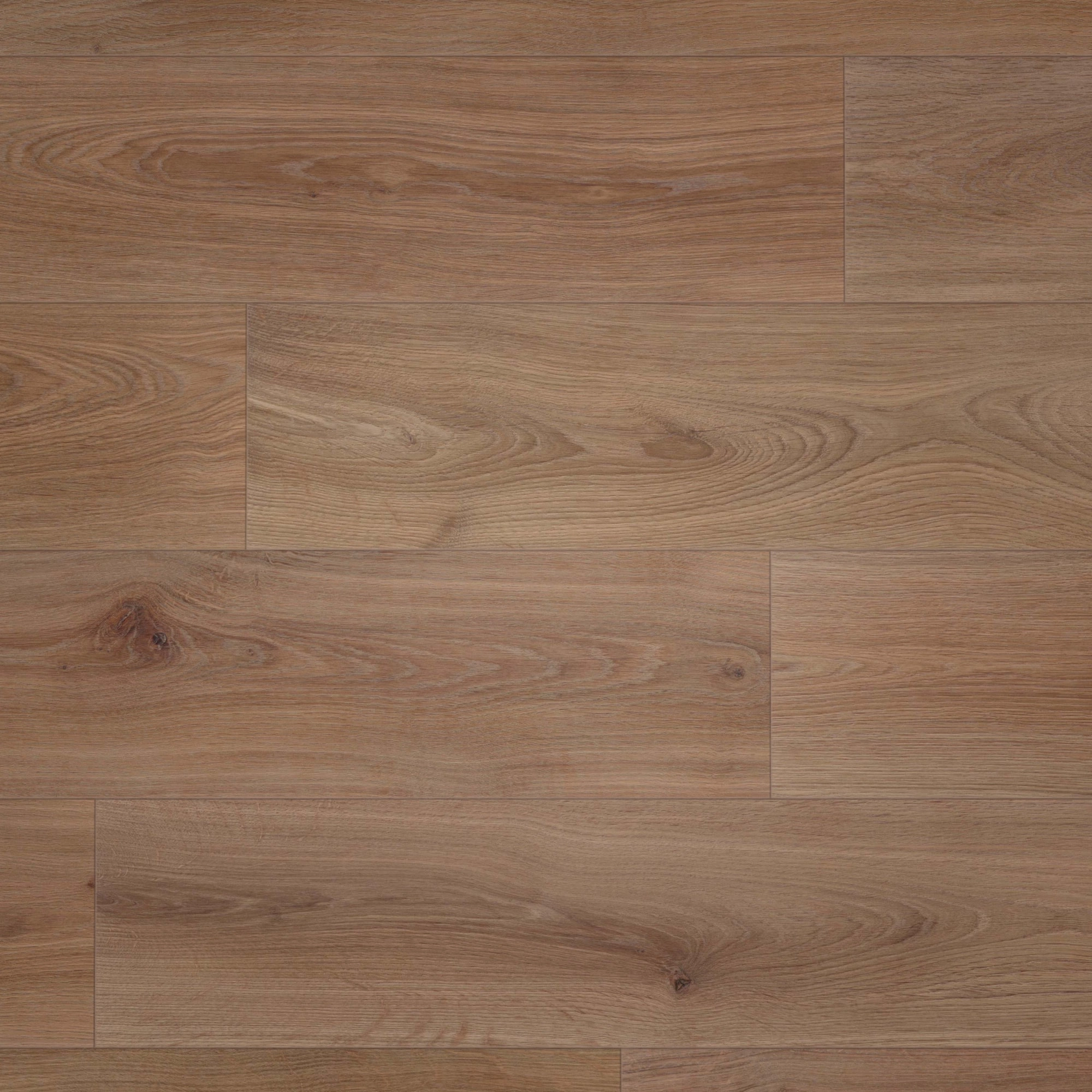 Draufsicht - wineo Klick-Bioboden PURLINE wineo 1000 wood XL Noble Oak Chocolate Draufsicht - wineo PLC312R