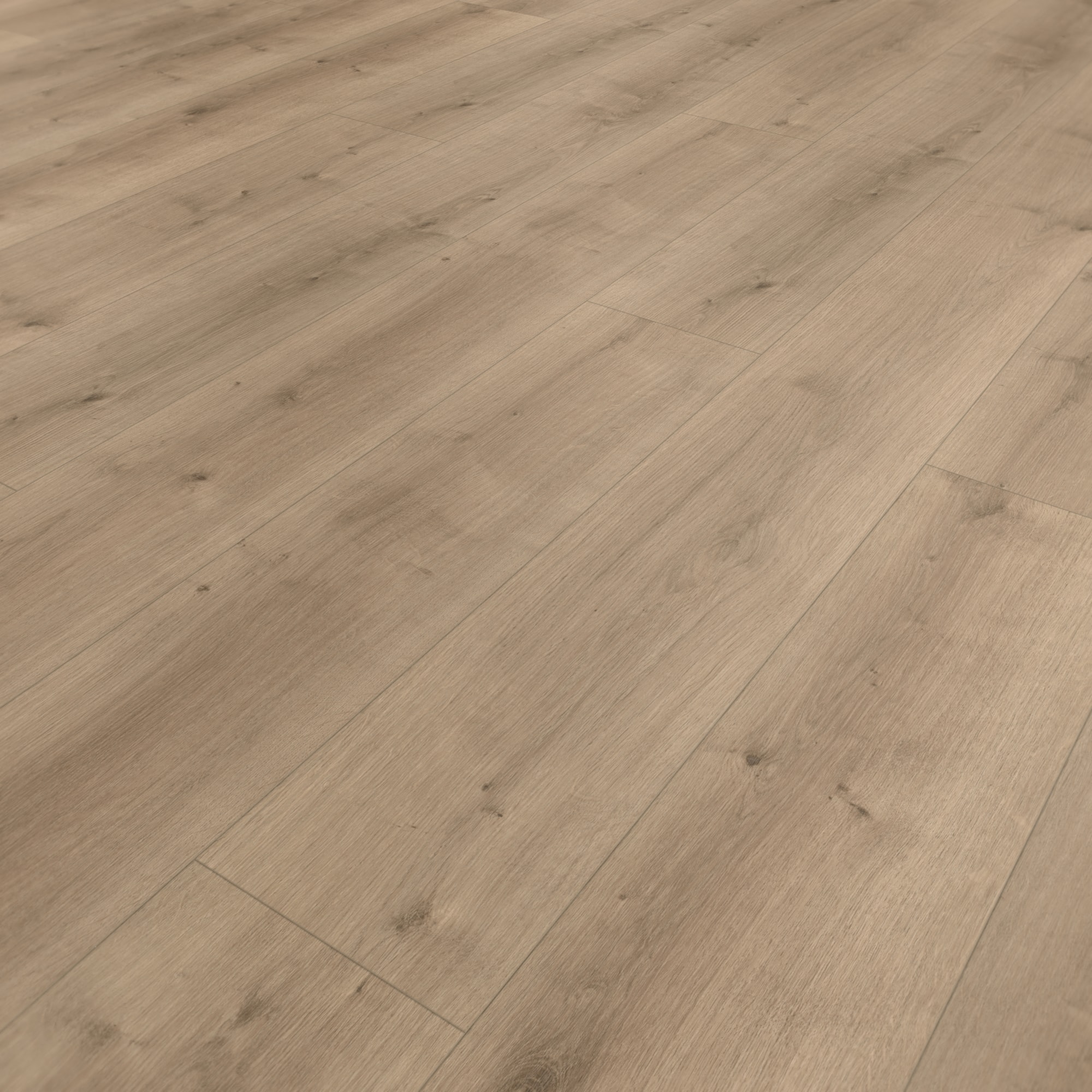 Parador HDF Klick-Designboden Modular ONE Eiche Pure perlgrau Holzstruktur Schlossdiele Parador HDF Klick-Designboden Modular ONE Eiche Pure perlgrau Holzstruktur Schlossdiele