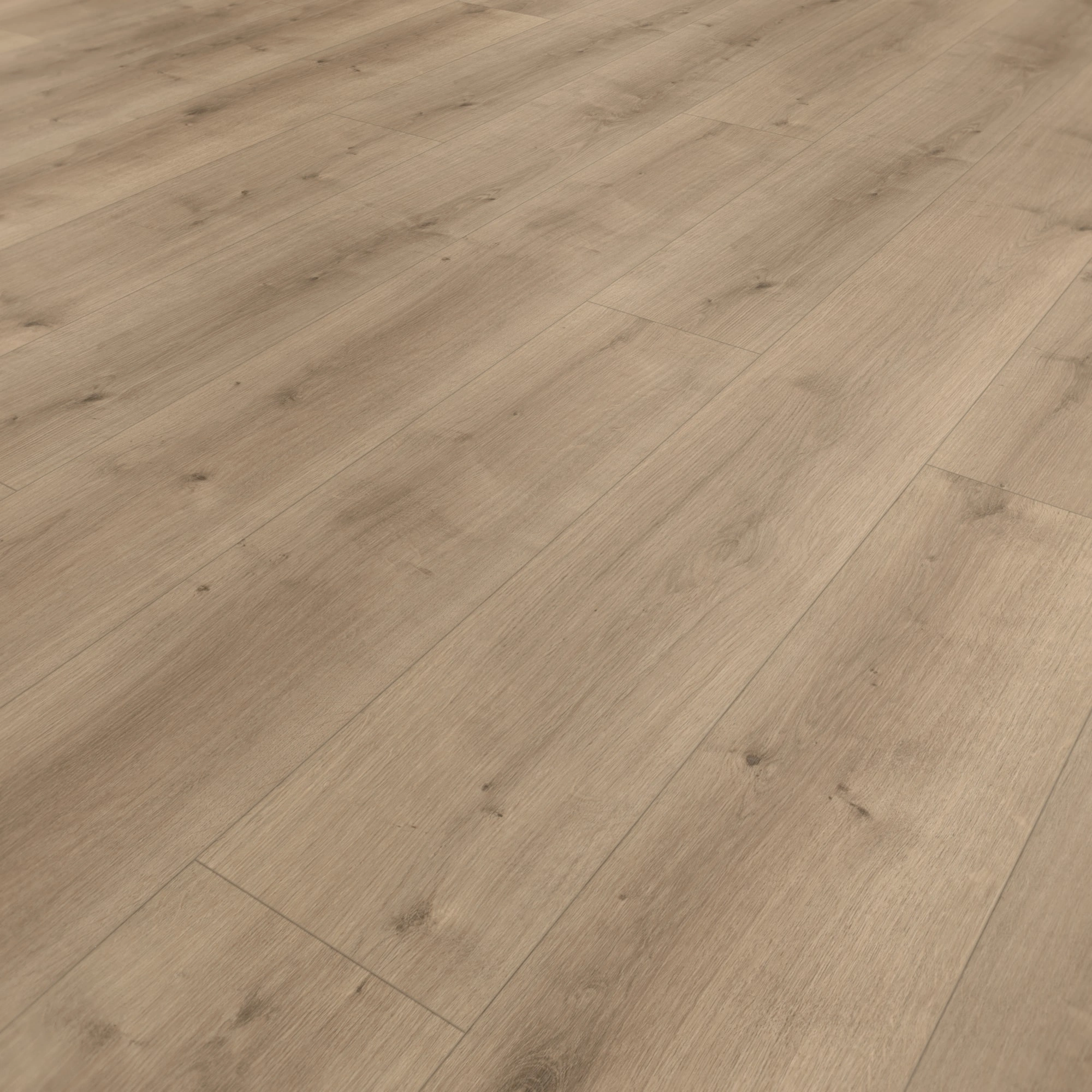 Parador HDF Klick-Designboden Modular ONE Eiche Pure perlgrau Holzstruktur Schlossdiele Parador HDF Klick-Designboden Modular ONE Eiche Pure perlgrau Holzstruktur Schlossdiele