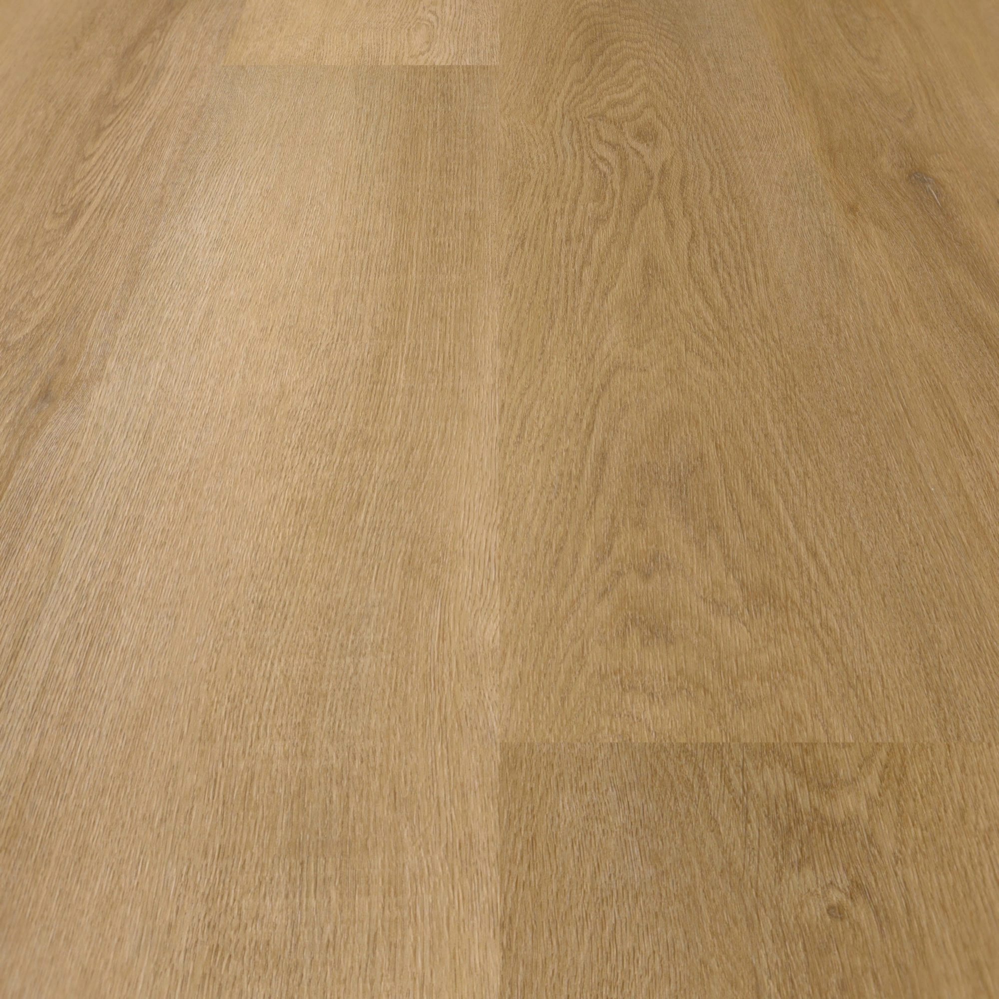 nexflor Klebe-Vinyl Apollo Collection Chios Oak Holzstruktur Landhausdiele nexflor Klebe-Vinyl Apollo Collection Chios Oak Holzstruktur Landhausdiele