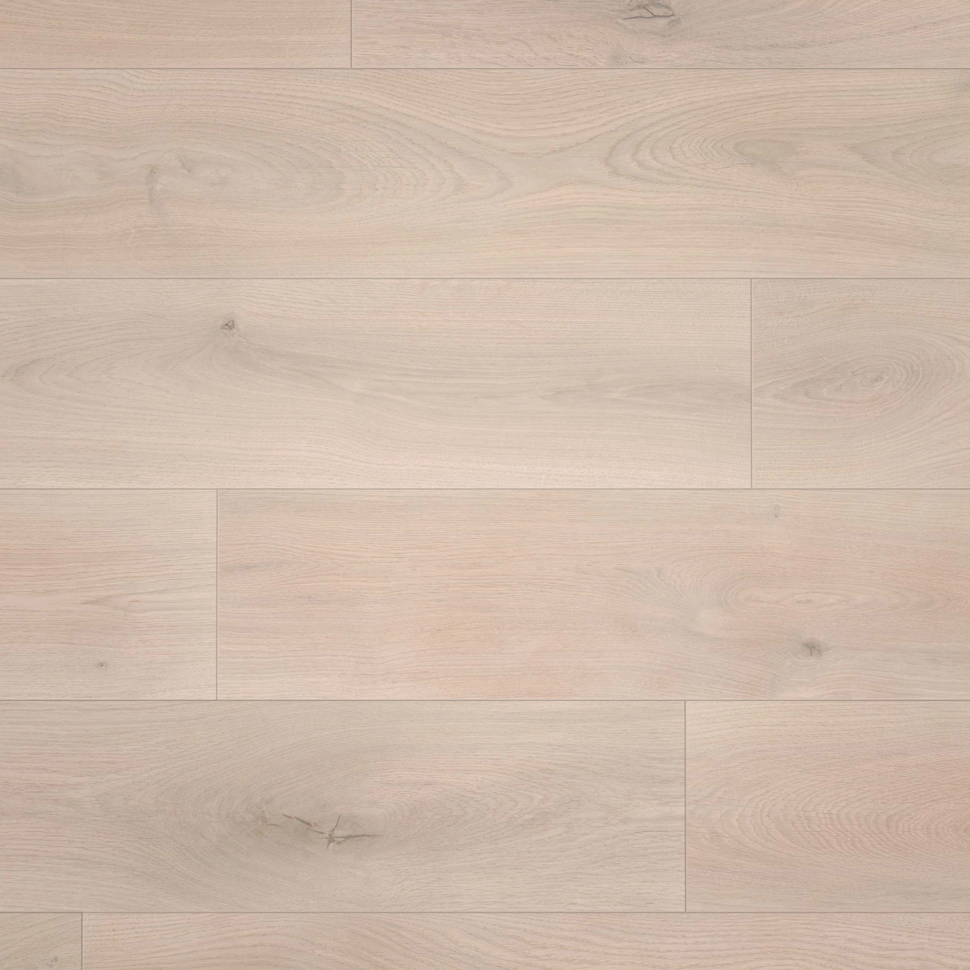 Draufsicht - wineo HDF Klick-Bioboden PURLINE wineo 1000 wood XL Noble Oak Powder Draufsicht - wineo MLP309R