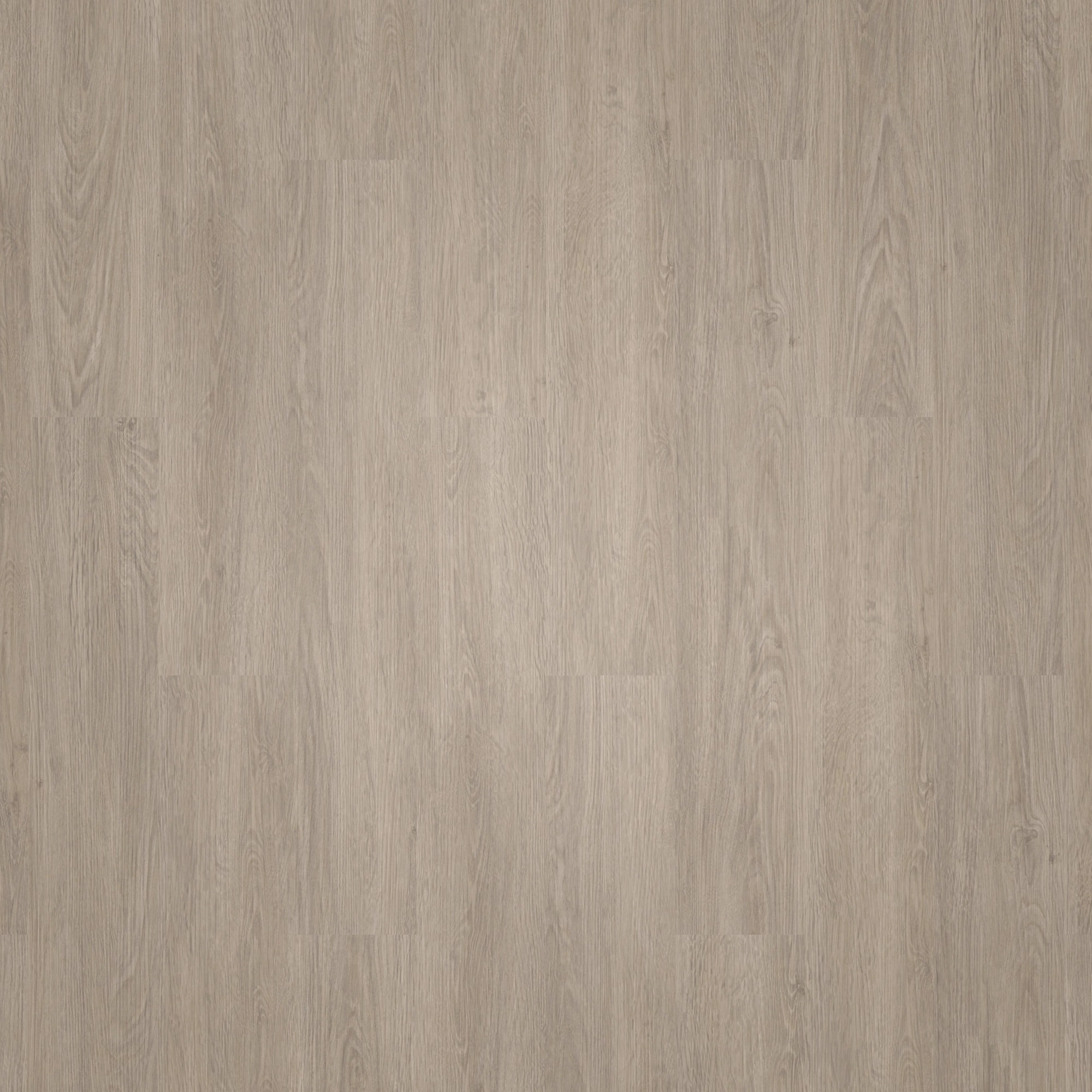 Draufsicht - Tarkett Klebe-Vinyl Essence 30 Cool Oak Light Beige Draufsicht - Tarkett 260055002