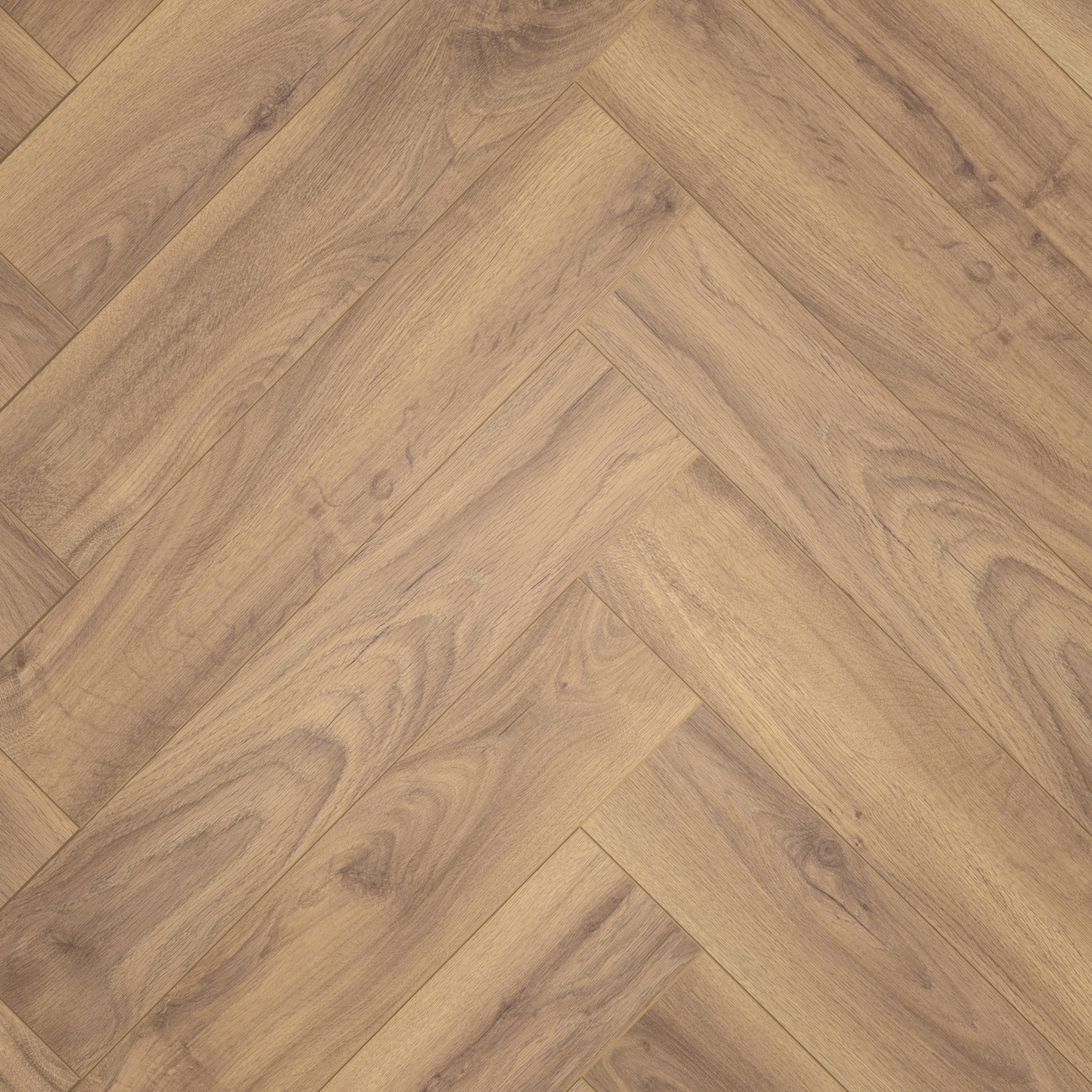 Draufsicht - ter Hürne Laminat Herringbone Edition Eiche Cottage Draufsicht - ter Hürne 1101021855