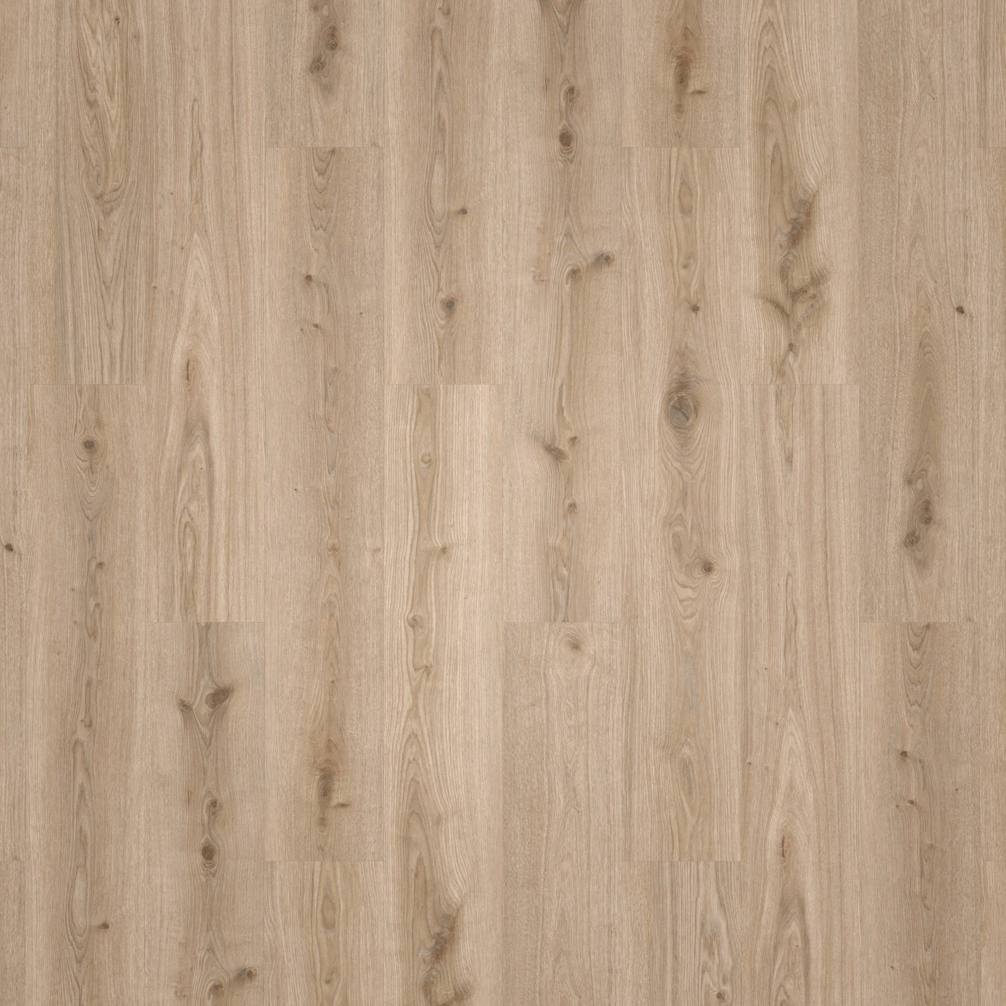 Draufsicht - Tarkett Klebe-Vinyl Essence 30 Primary Oak Light Grey Draufsicht - Tarkett 260055006
