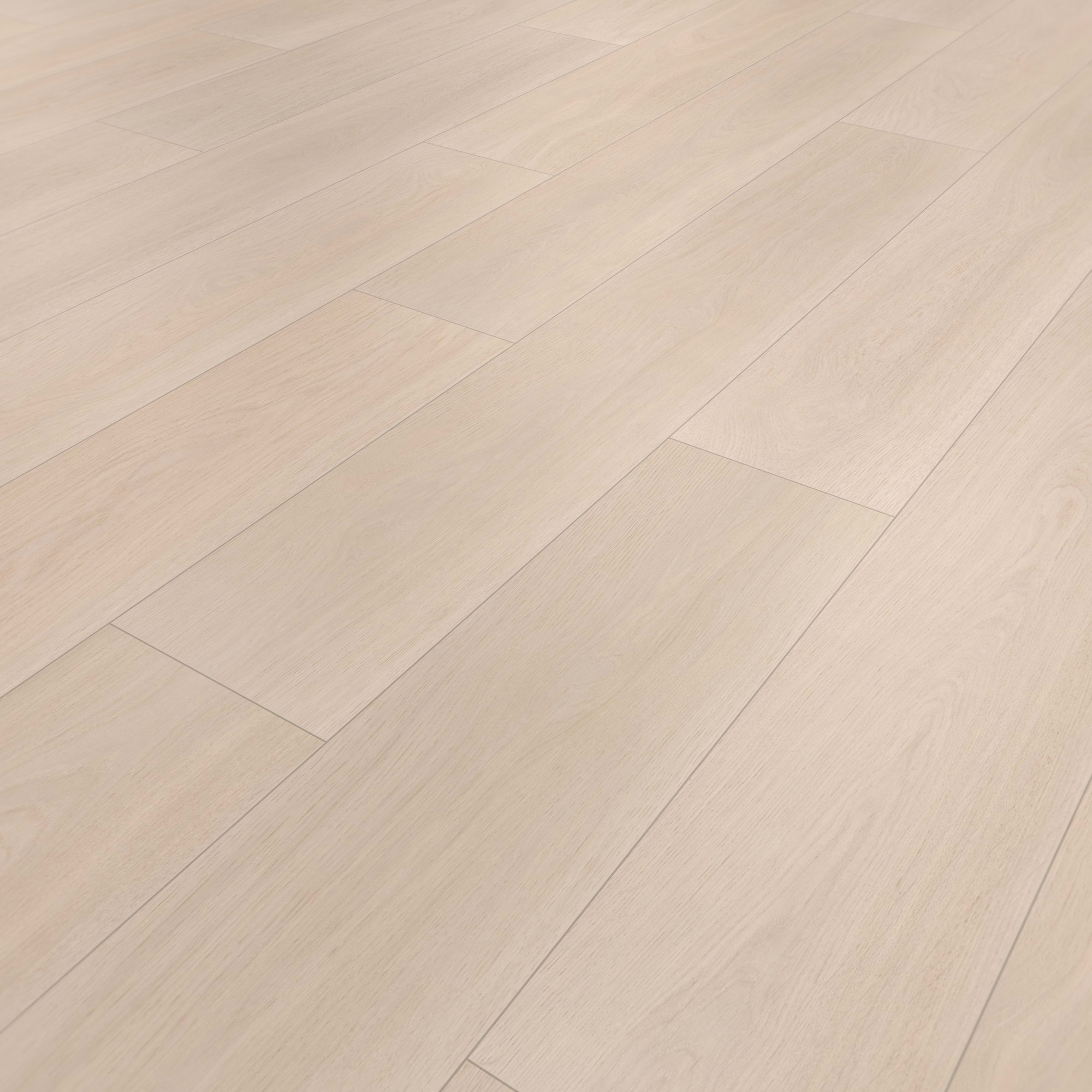 Perspektivische Ansicht - wineo Klick-Bioboden PURLINE wineo 1000 wood XL Calm Oak Bright Perspektivische Ansicht - wineo PLC305R