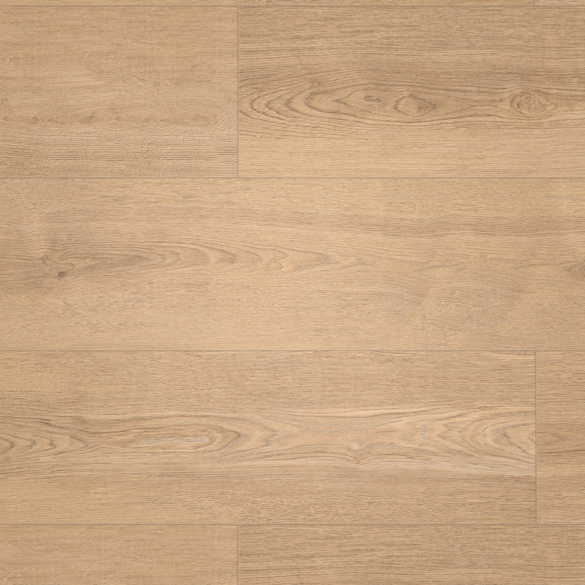 Draufsicht - MEISTER Klebe-Designboden DD 250 Sandy Beach Oak Draufsicht - MEISTER 400053-1290253-07451