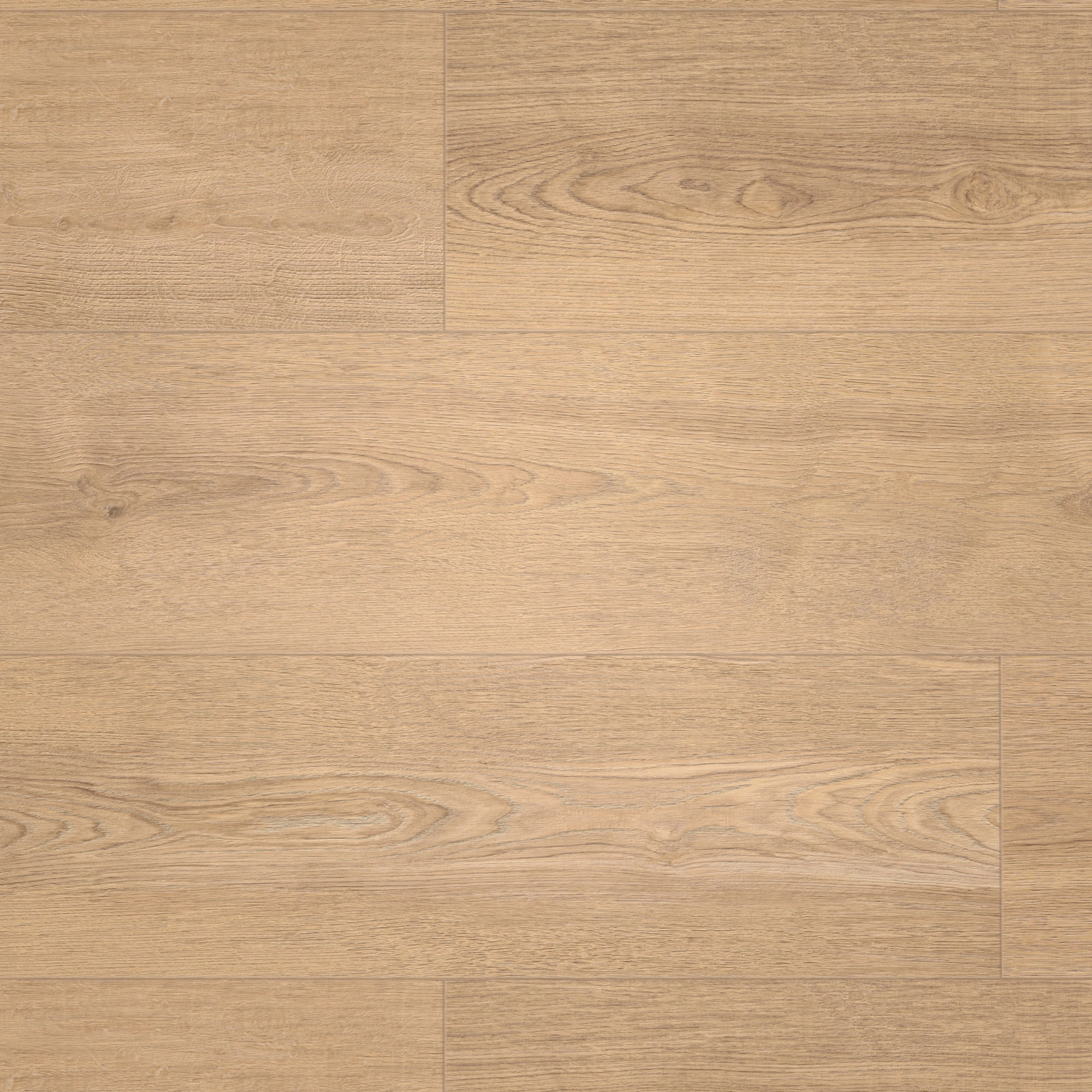 Draufsicht - MEISTER Klebe-Designboden DD 250 Sandy Beach Oak Draufsicht - MEISTER 400053-1290253-07451