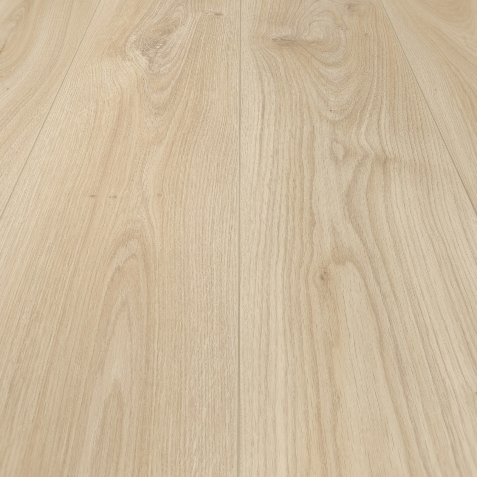 Detail Ansicht - MEISTER 400055-2052220-06840