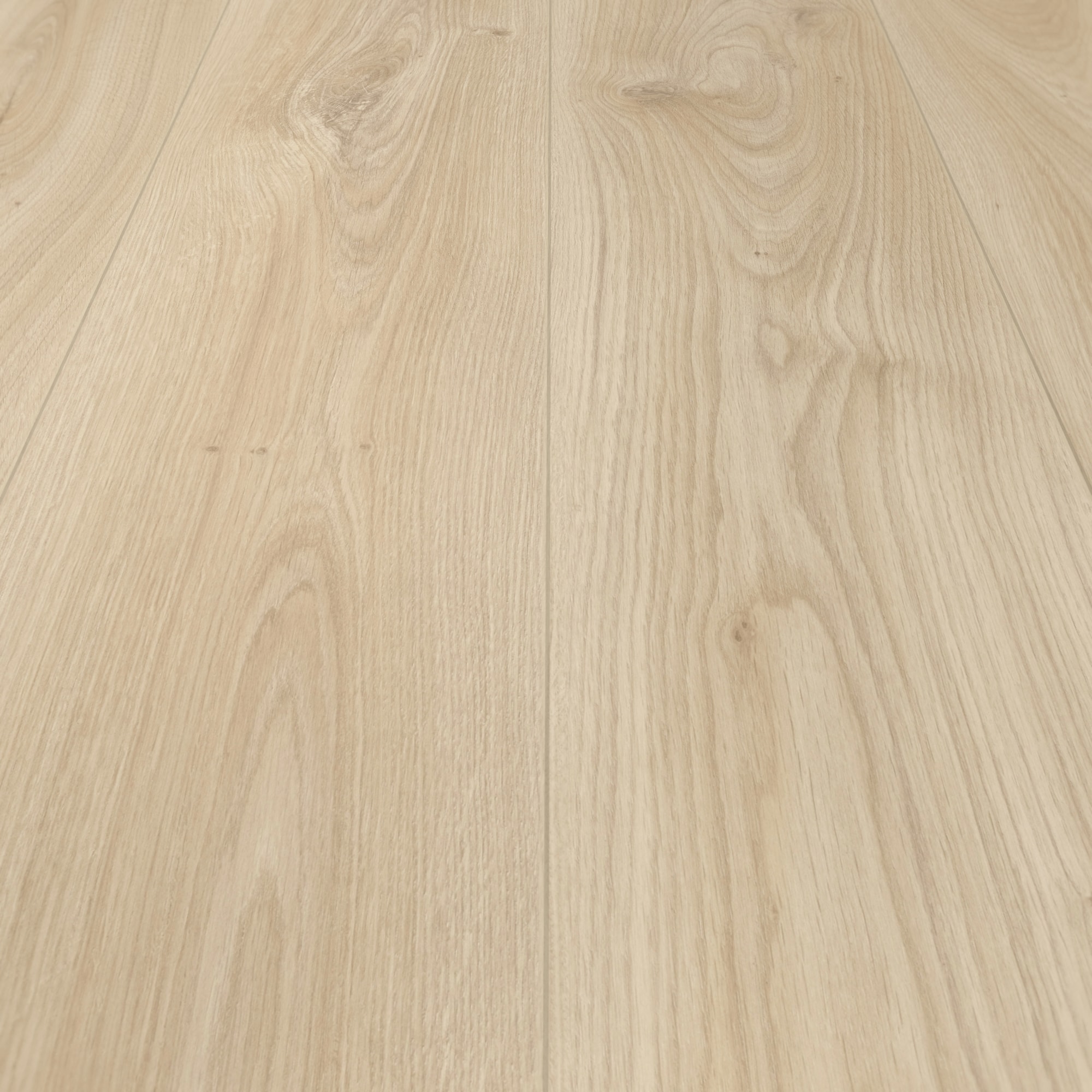 Detail Ansicht - MEISTER 400055-2052220-06840