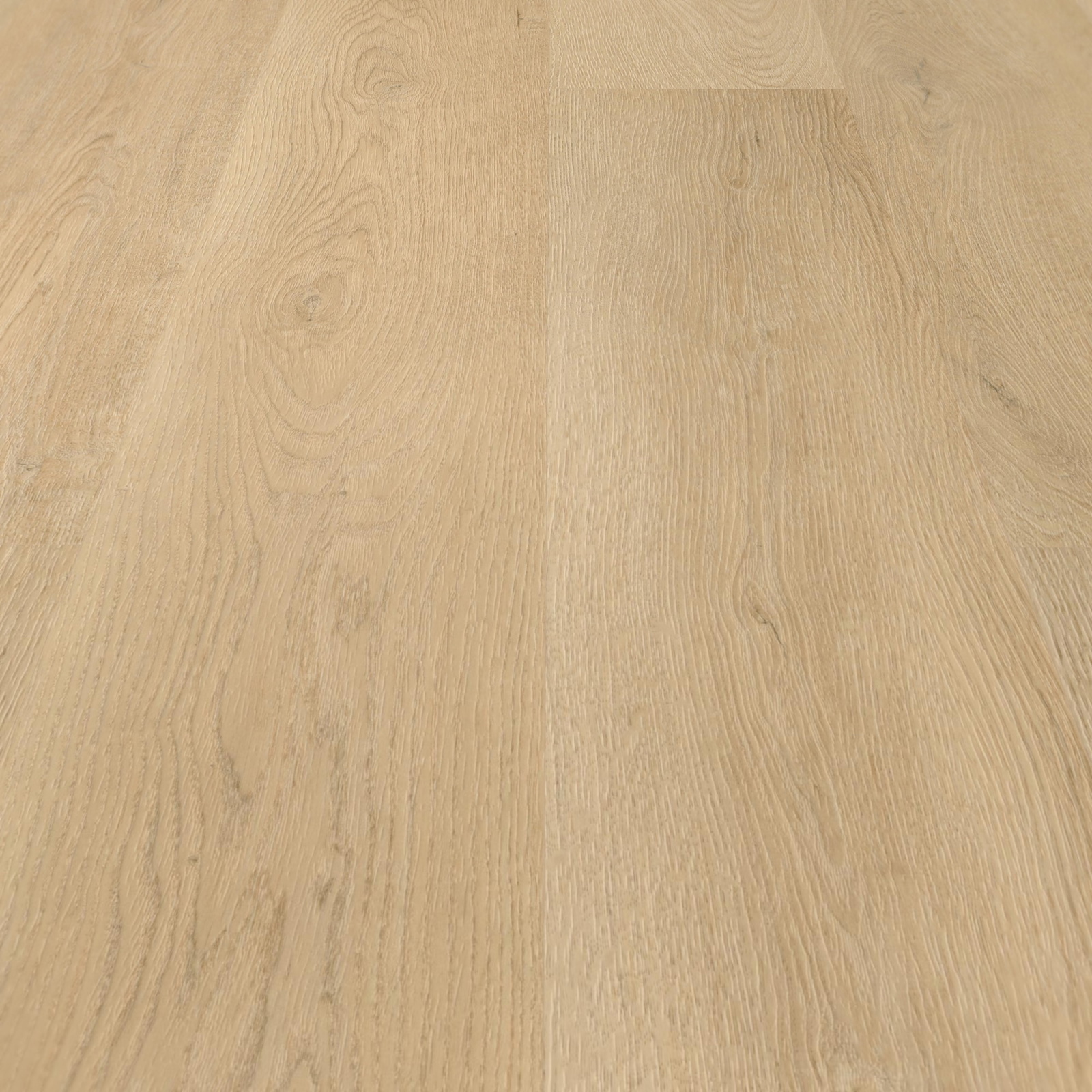 Detail Ansicht - wineo DB281WL