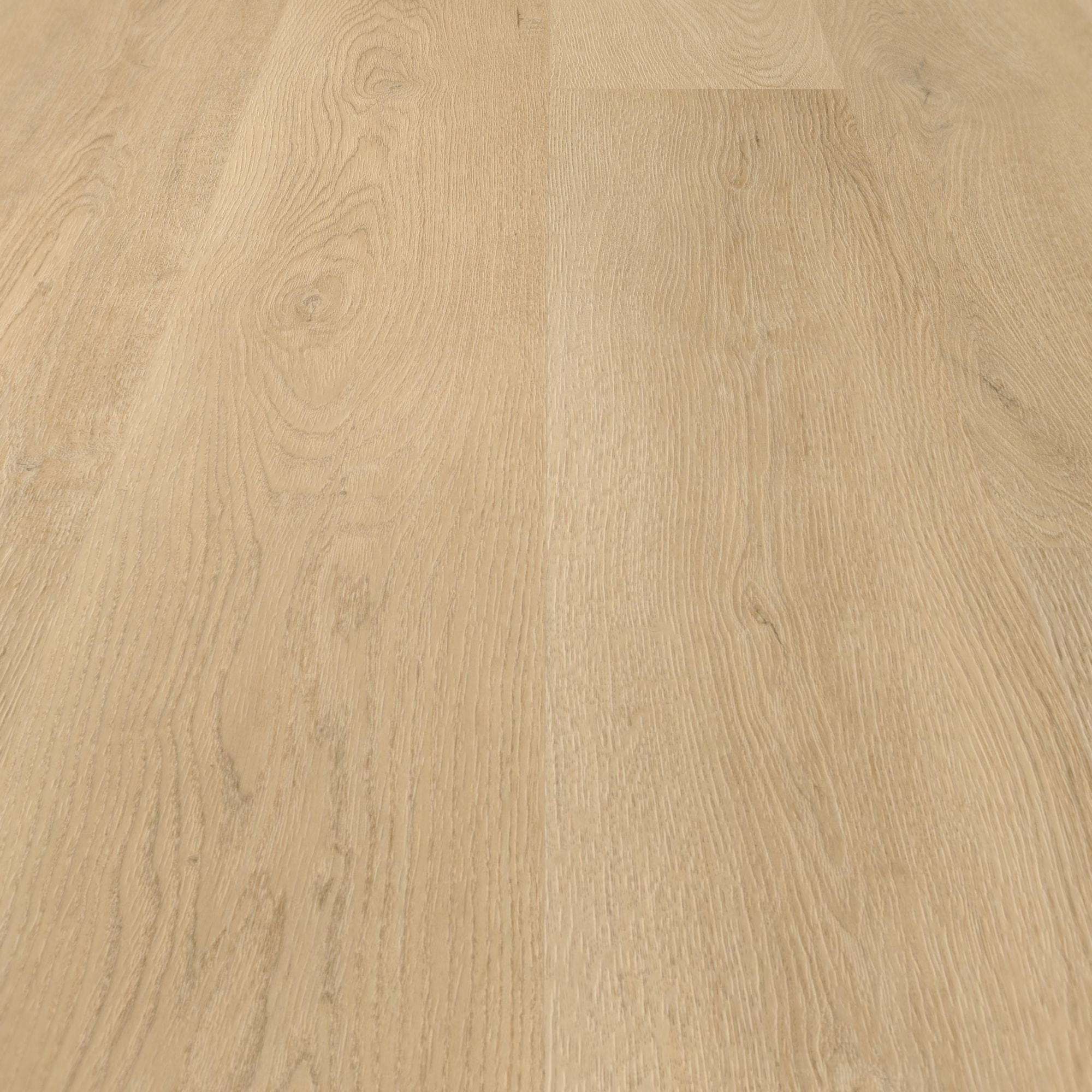 Detail Ansicht - wineo Klebe-Vinyl wineo 400 wood L Plain Oak Beige Detail Ansicht - wineo DB281WL
