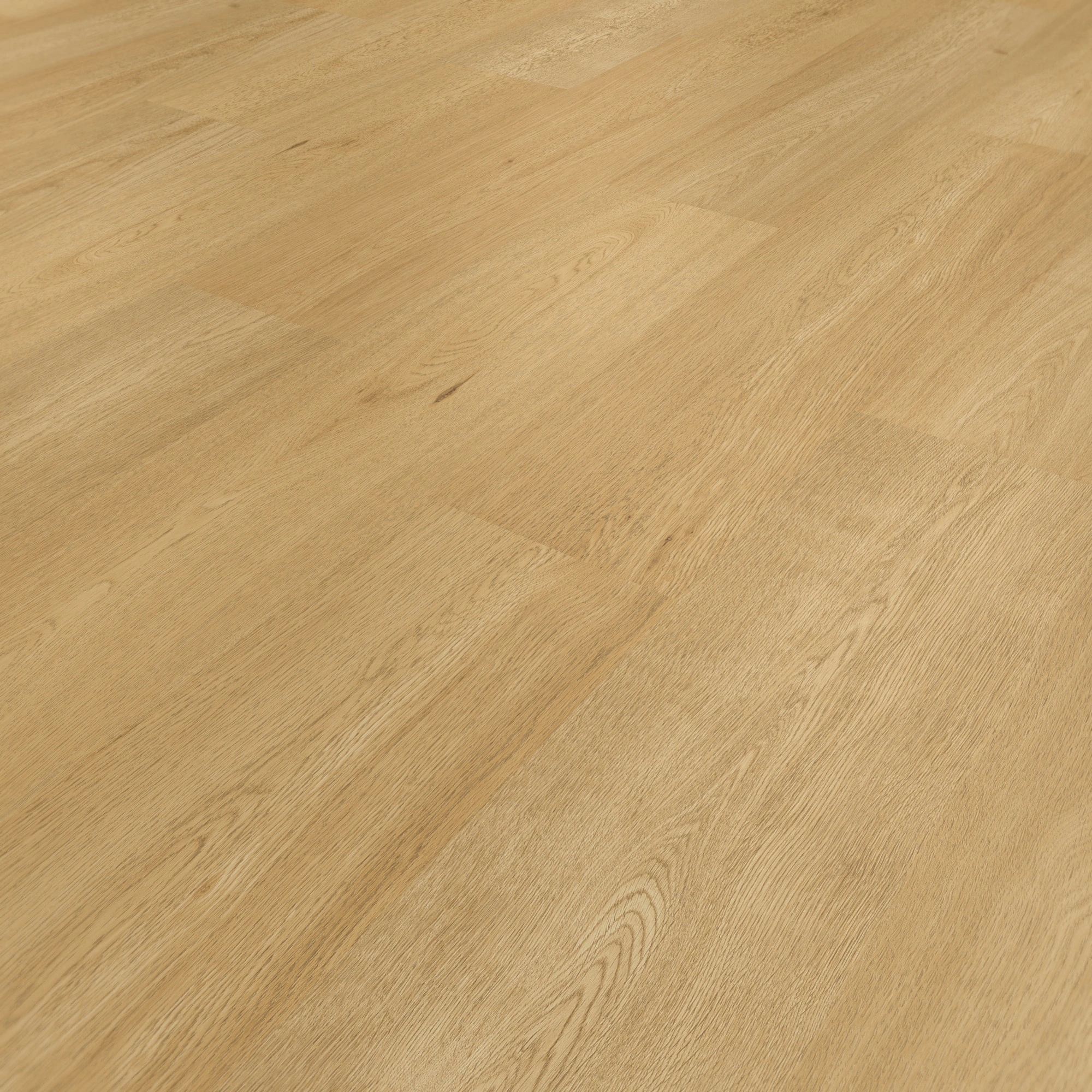 Perspektivische Ansicht - ter Hürne Laminat Trend Edition Eiche Pure Perspektivische Ansicht - ter Hürne 1101021843