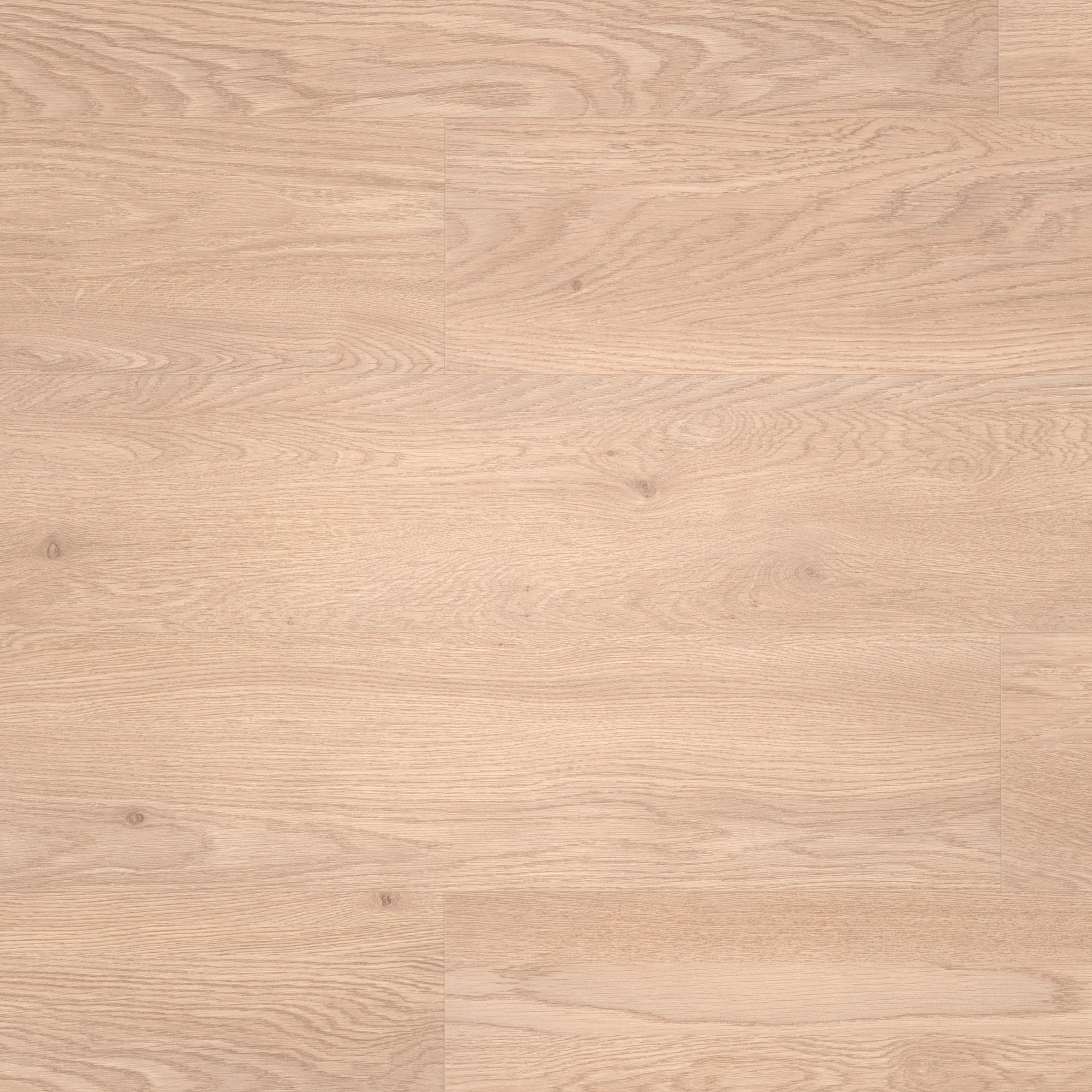 Draufsicht - MEISTER Laminat LD 55 Fairview Oak Draufsicht - MEISTER 600015-1288198-07015