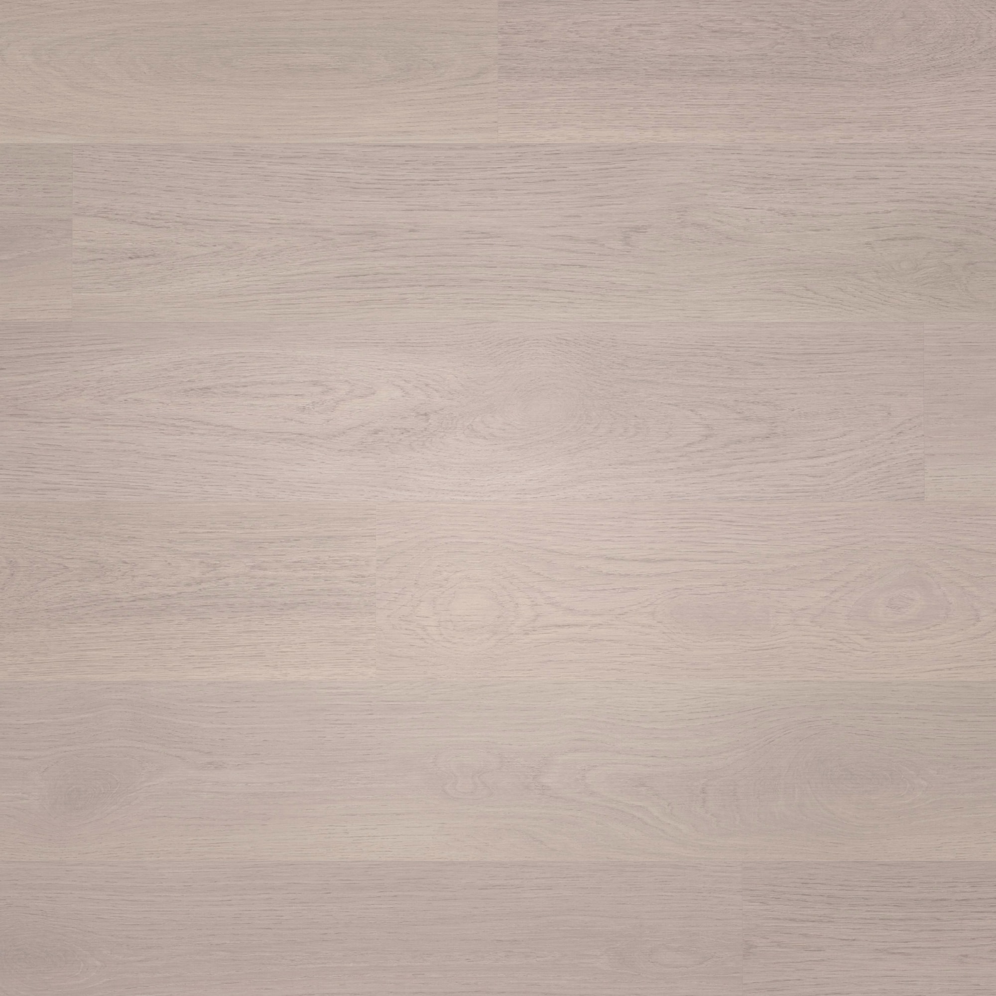 Draufsicht - wineo HDF Klick-Bioboden PURLINE wineo 1000 wood L Soft Oak Silver Draufsicht - wineo MLP302R