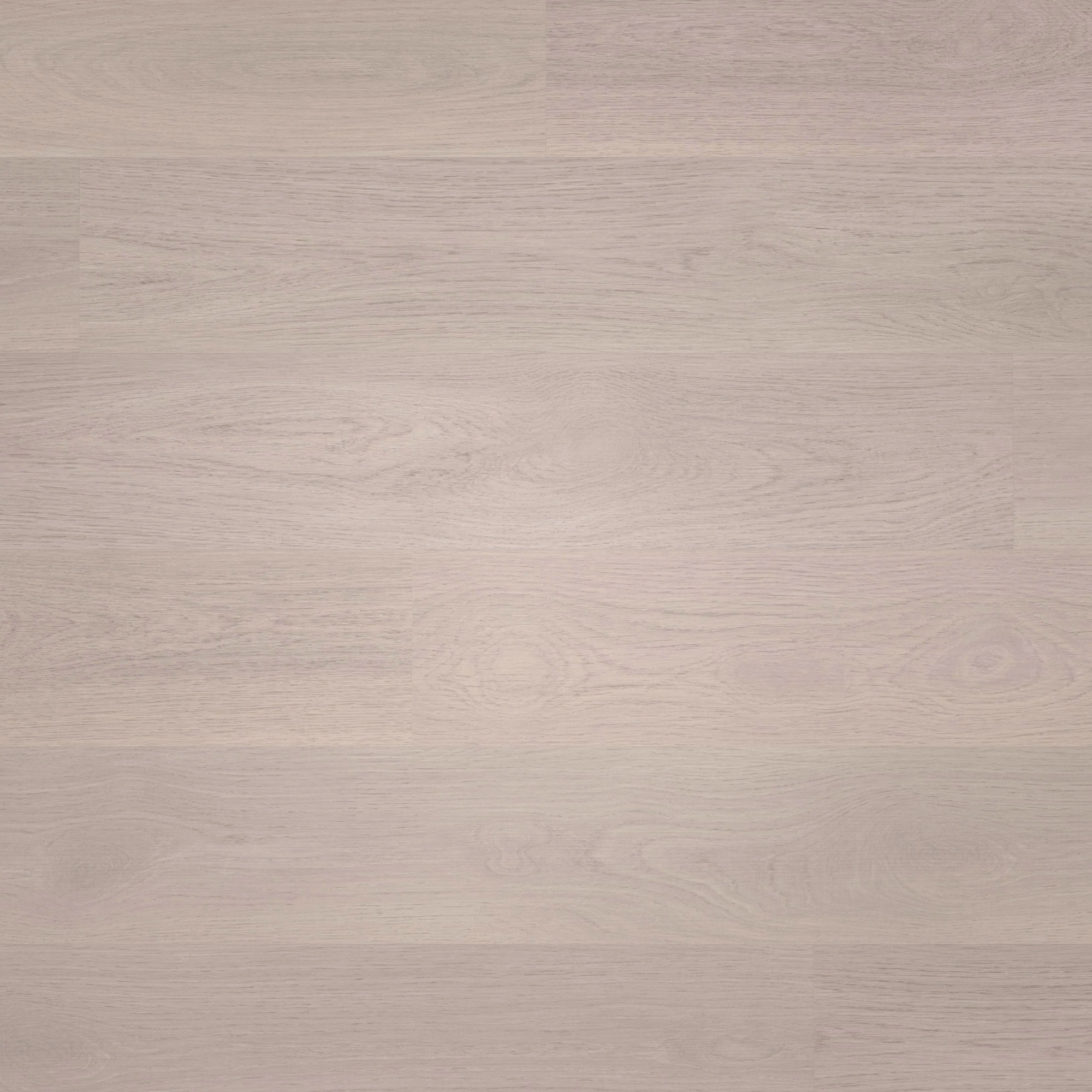 Draufsicht - wineo HDF Klick-Bioboden PURLINE wineo 1000 wood L Soft Oak Silver Draufsicht - wineo MLP302R