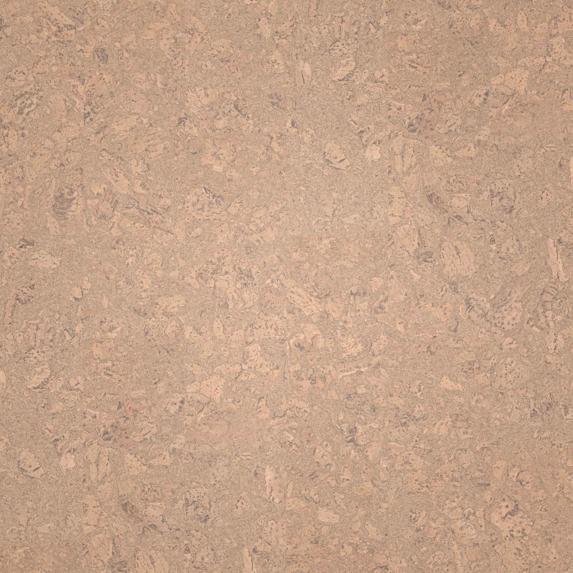 Draufsicht - Wicanders Wise HDF Klick-Korkboden cork Essence Personality Champagne Draufsicht - Wicanders Wise 80002263