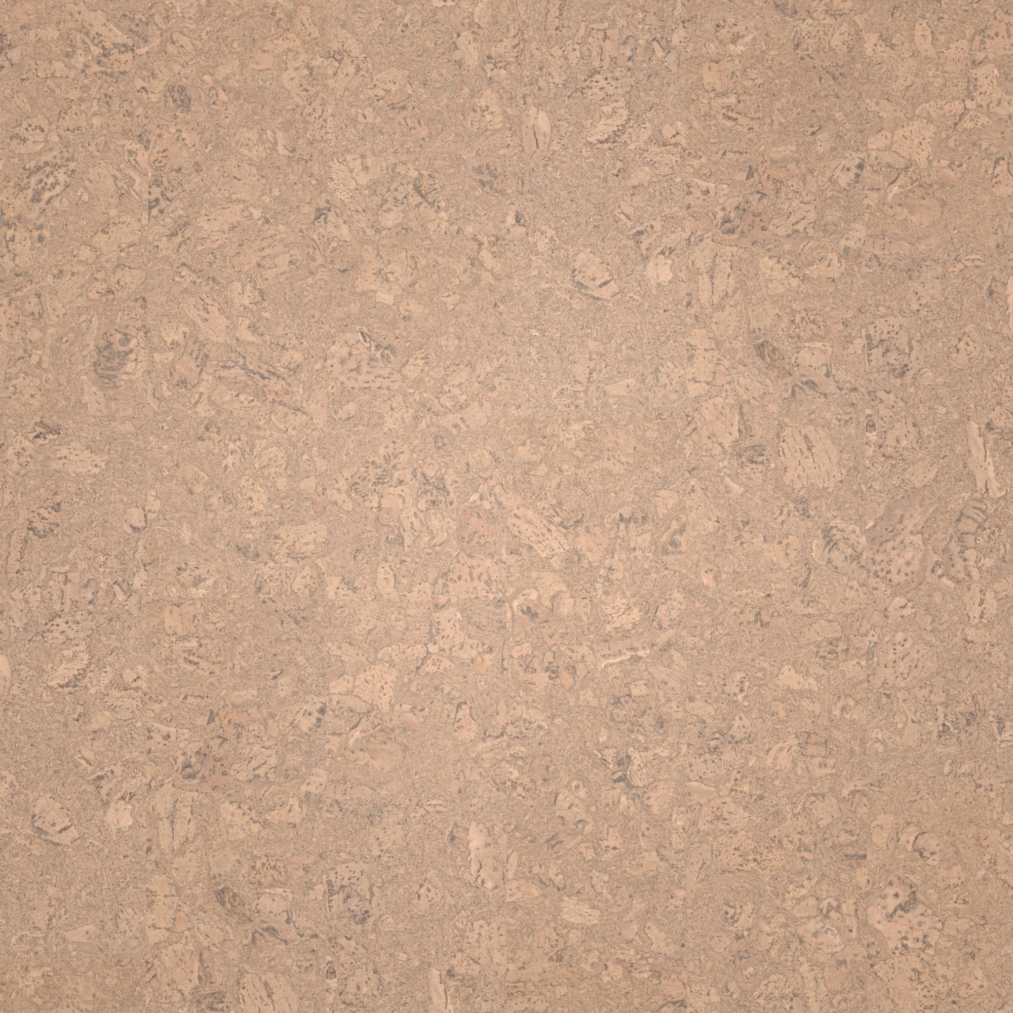 Draufsicht - Wicanders Wise HDF Klick-Korkboden cork Essence Personality Champagne Draufsicht - Wicanders Wise 80002263