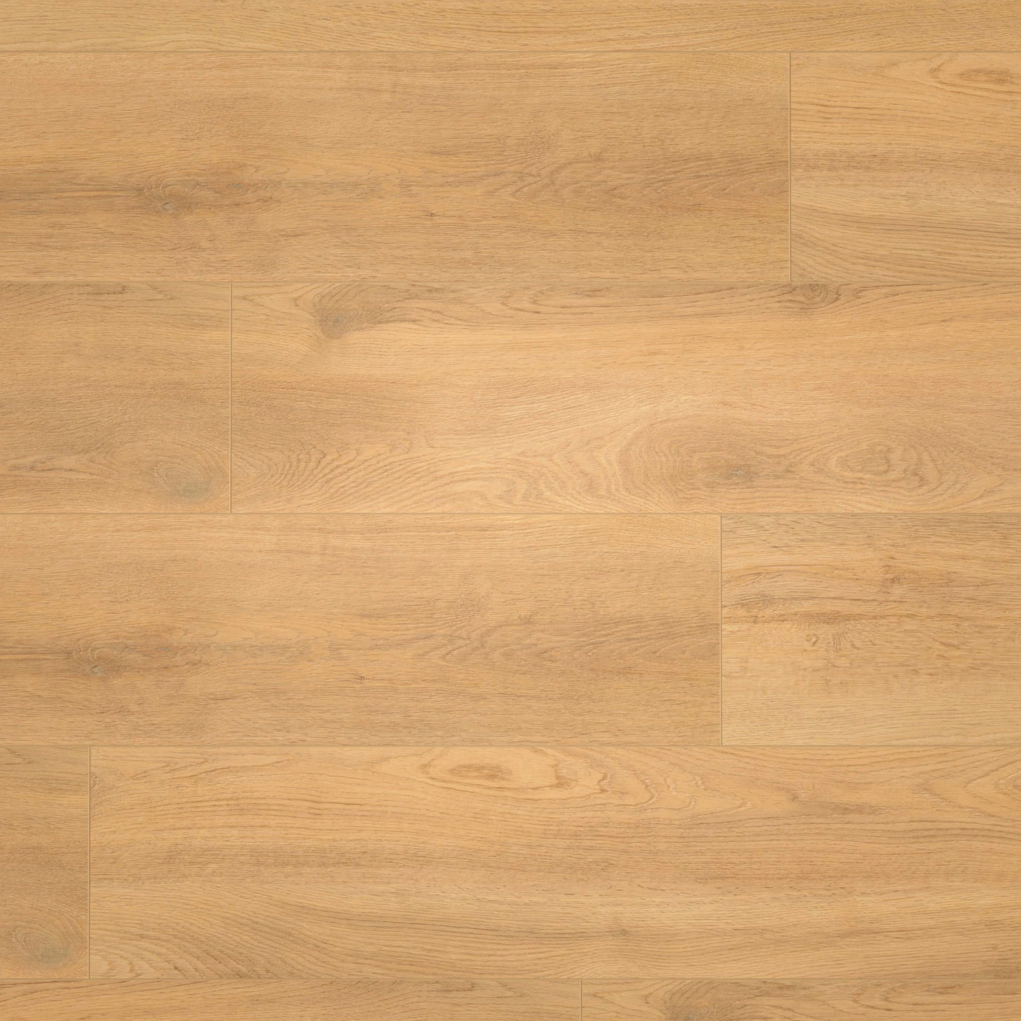 Draufsicht - wineo Klick-Bioboden PURLINE wineo 1200 wood XL Let's go Max Draufsicht - wineo PLC270R