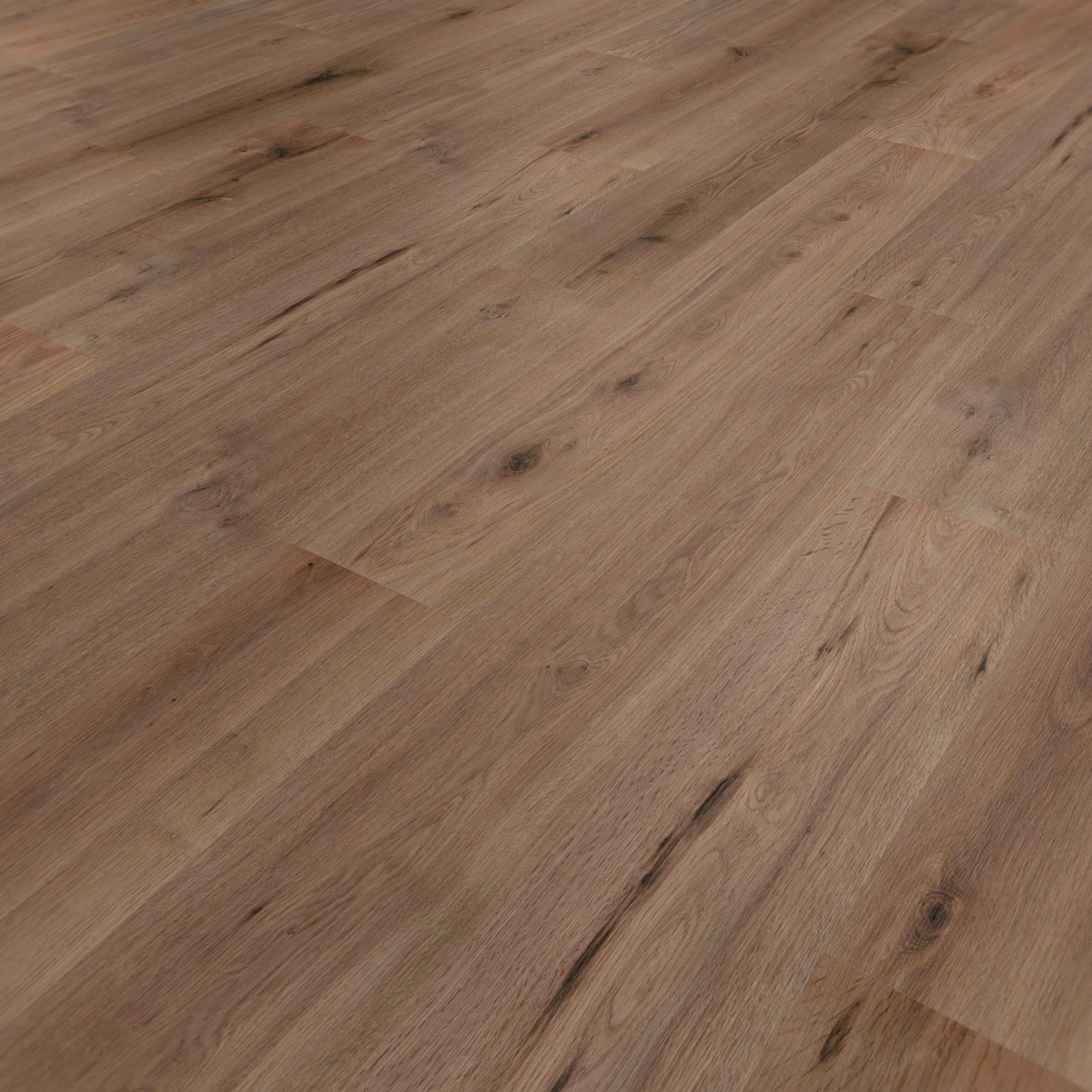 Perspektivische Ansicht - wineo Klebe-Bioboden PURLINE wineo 1000 wood L Strong Oak Cappuccino Perspektivische Ansicht - wineo PL303R