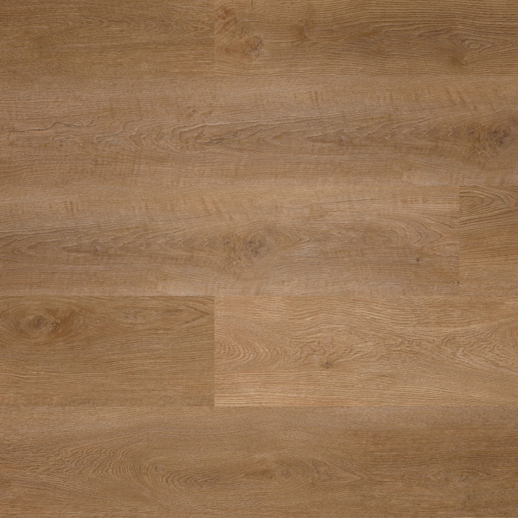 Draufsicht - wineo Klebe-Vinyl wineo 400 wood L Balanced Oak Brown Draufsicht - wineo DB285WL