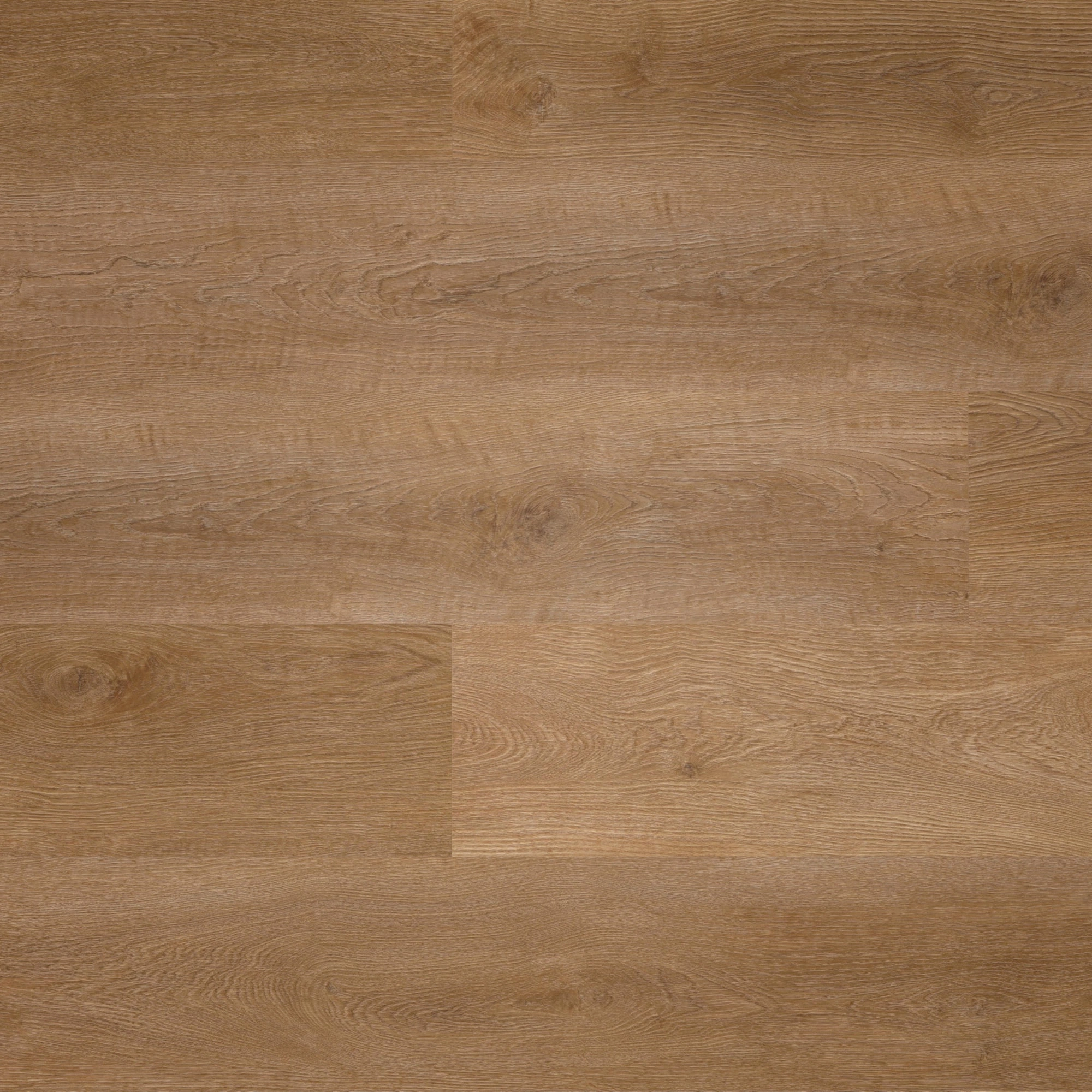 Draufsicht - wineo Klebe-Vinyl wineo 400 wood L Balanced Oak Brown Draufsicht - wineo DB285WL