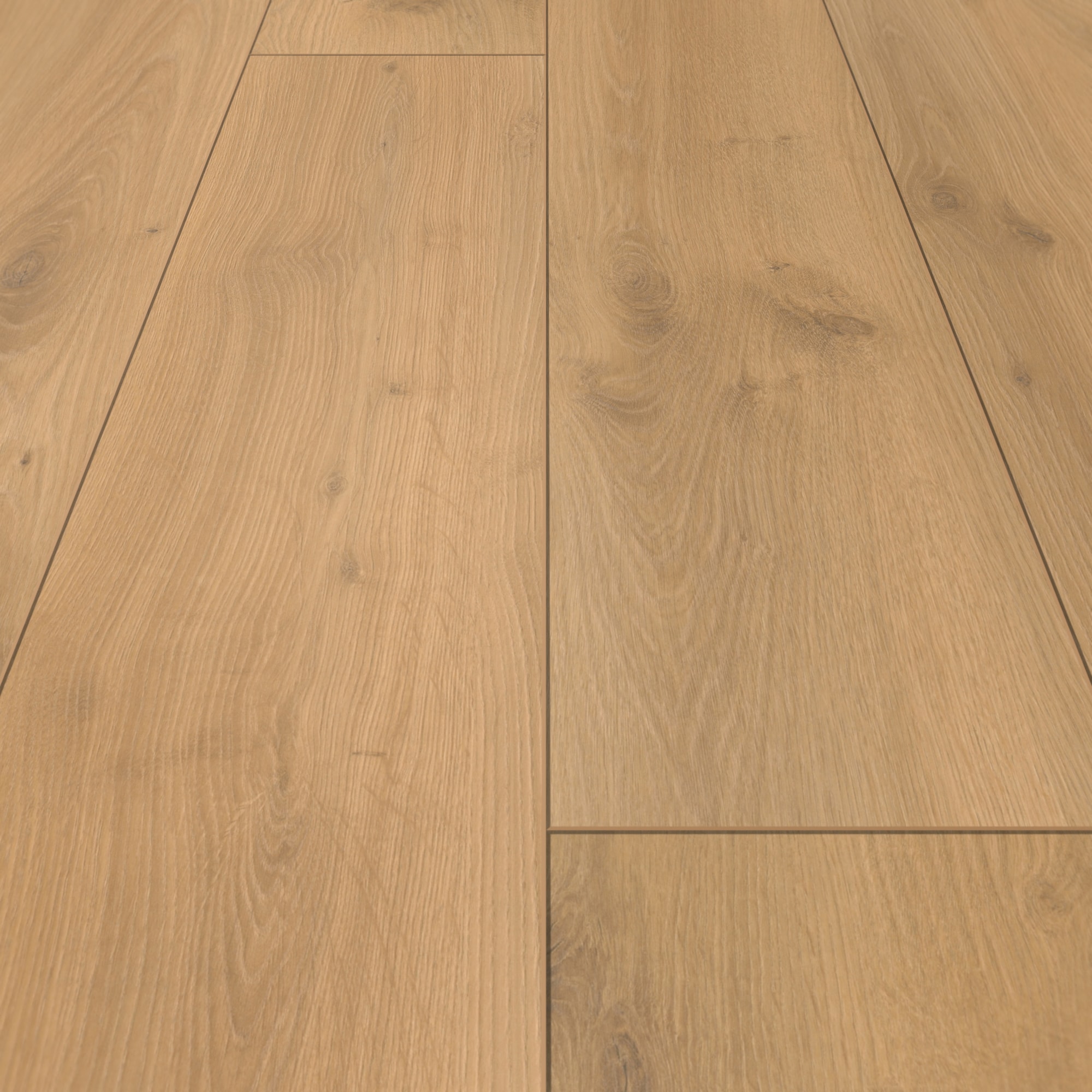 Detail Ansicht - Parador Laminat Classic 1050 Eiche Tradition natur Detail Ansicht - Parador 1601449