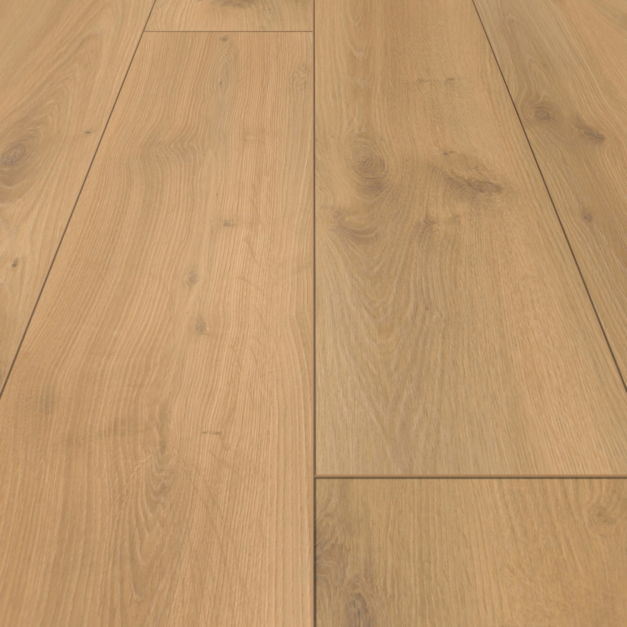 Detail Ansicht - Parador Laminat Classic 1050 Eiche Tradition natur Detail Ansicht - Parador 1601449