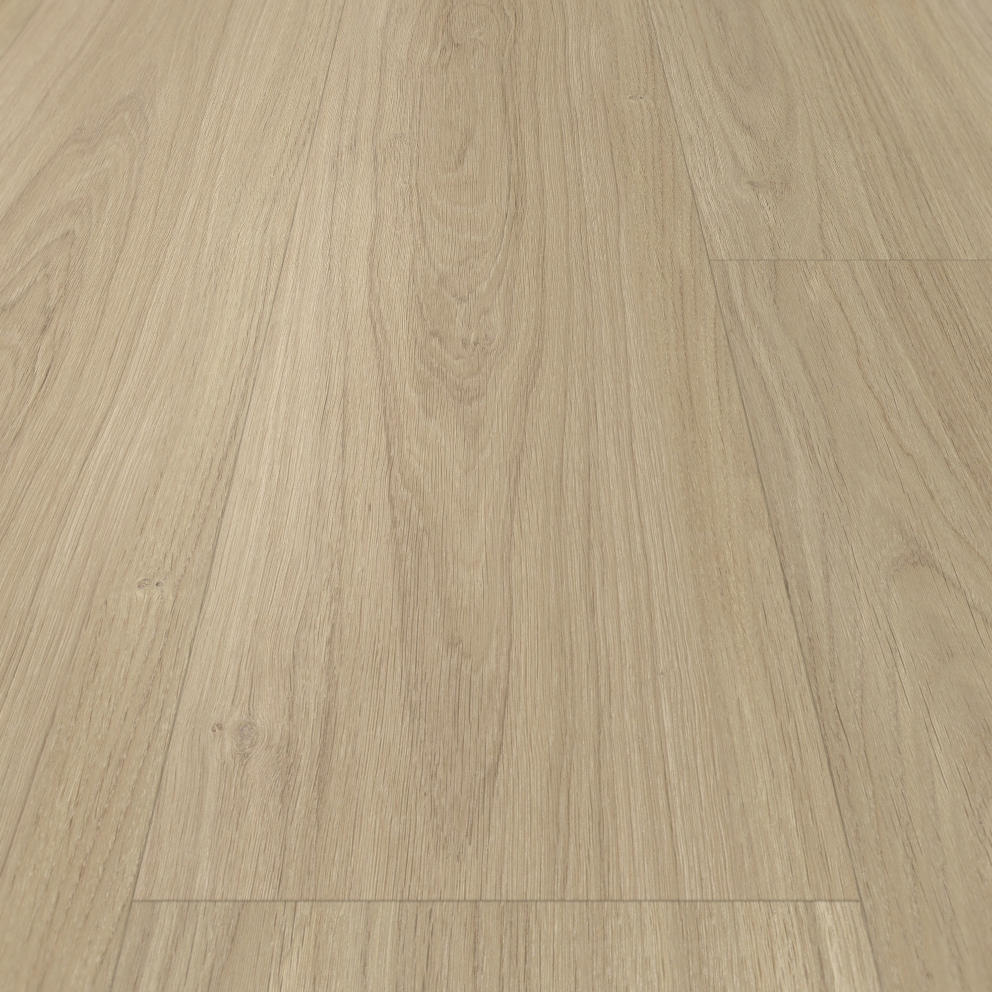 Detail Ansicht - Parador Klebe-Vinyl Classic 2025 Eiche Oxford geschliffen Detail Ansicht - Parador 1748867