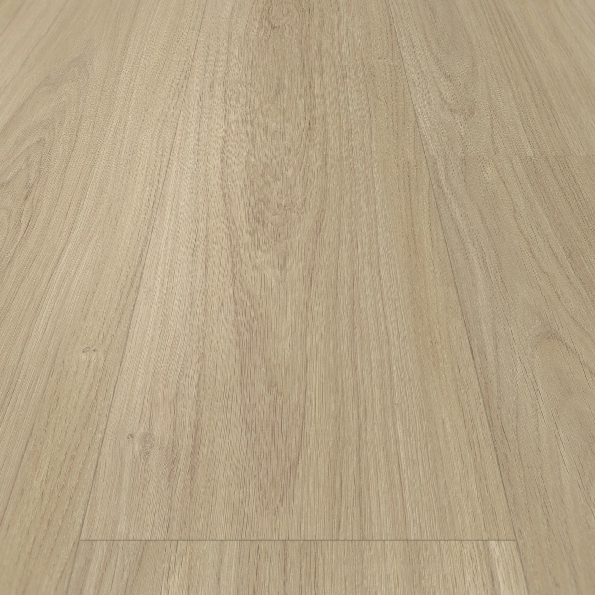 Detail Ansicht - Parador Klebe-Vinyl Classic 2025 Eiche Oxford geschliffen Detail Ansicht - Parador 1748867