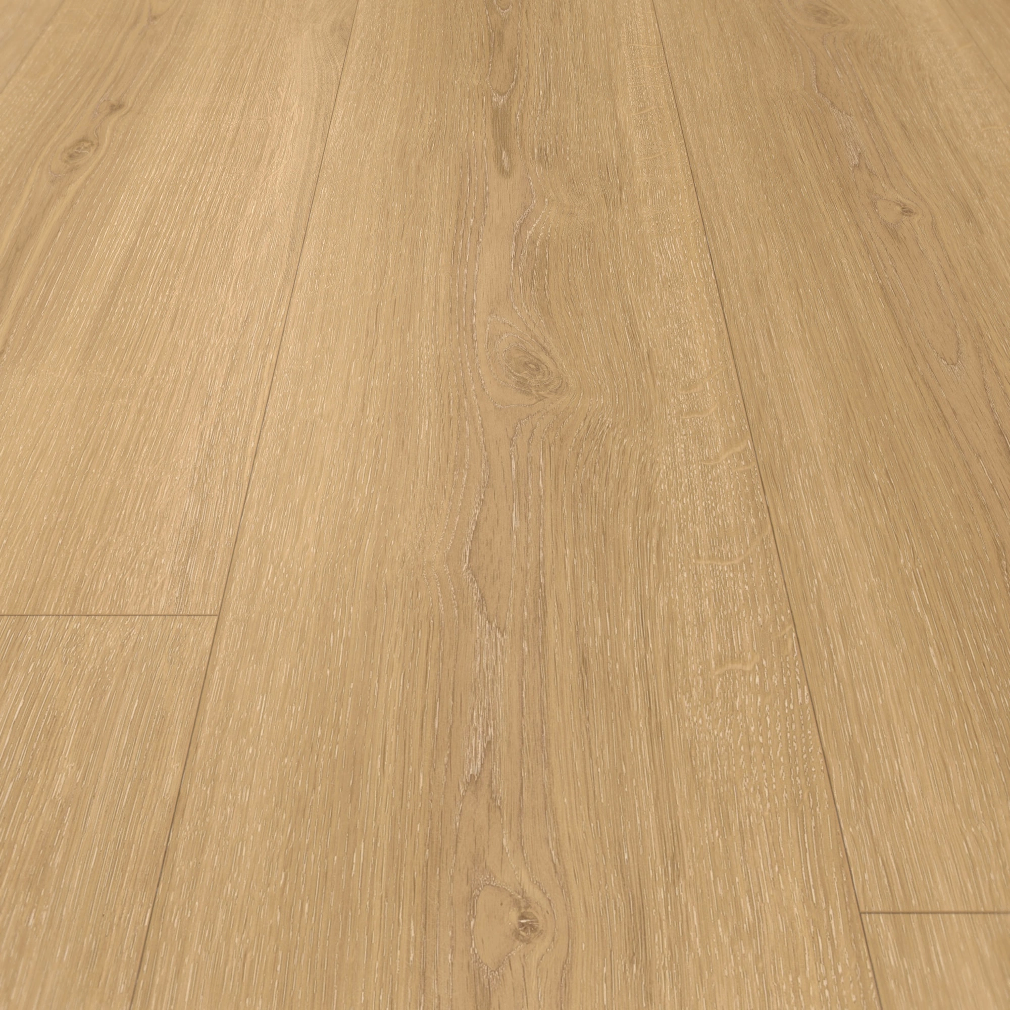 Detail Ansicht - Parador HDF Klick-Vinyl Classic 2030 Eiche Regent natur Detail Ansicht - Parador 1748830
