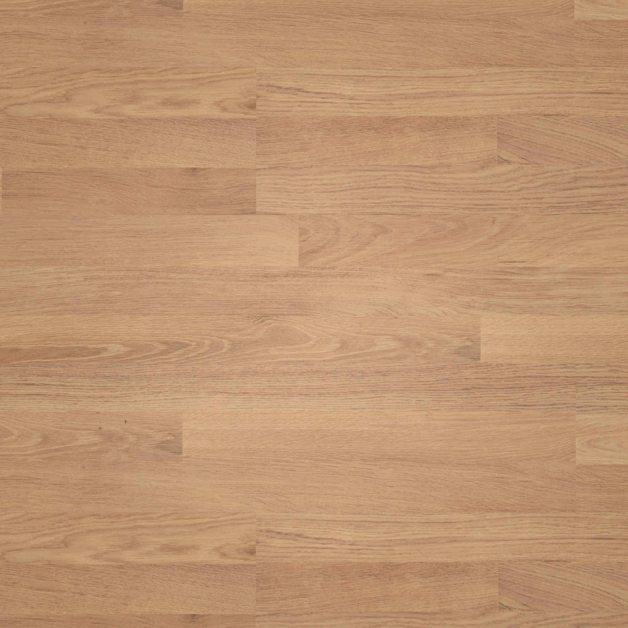 Draufsicht - MEISTER Laminat LC 55 Eiche natur Draufsicht - MEISTER 600012-1288198-06067