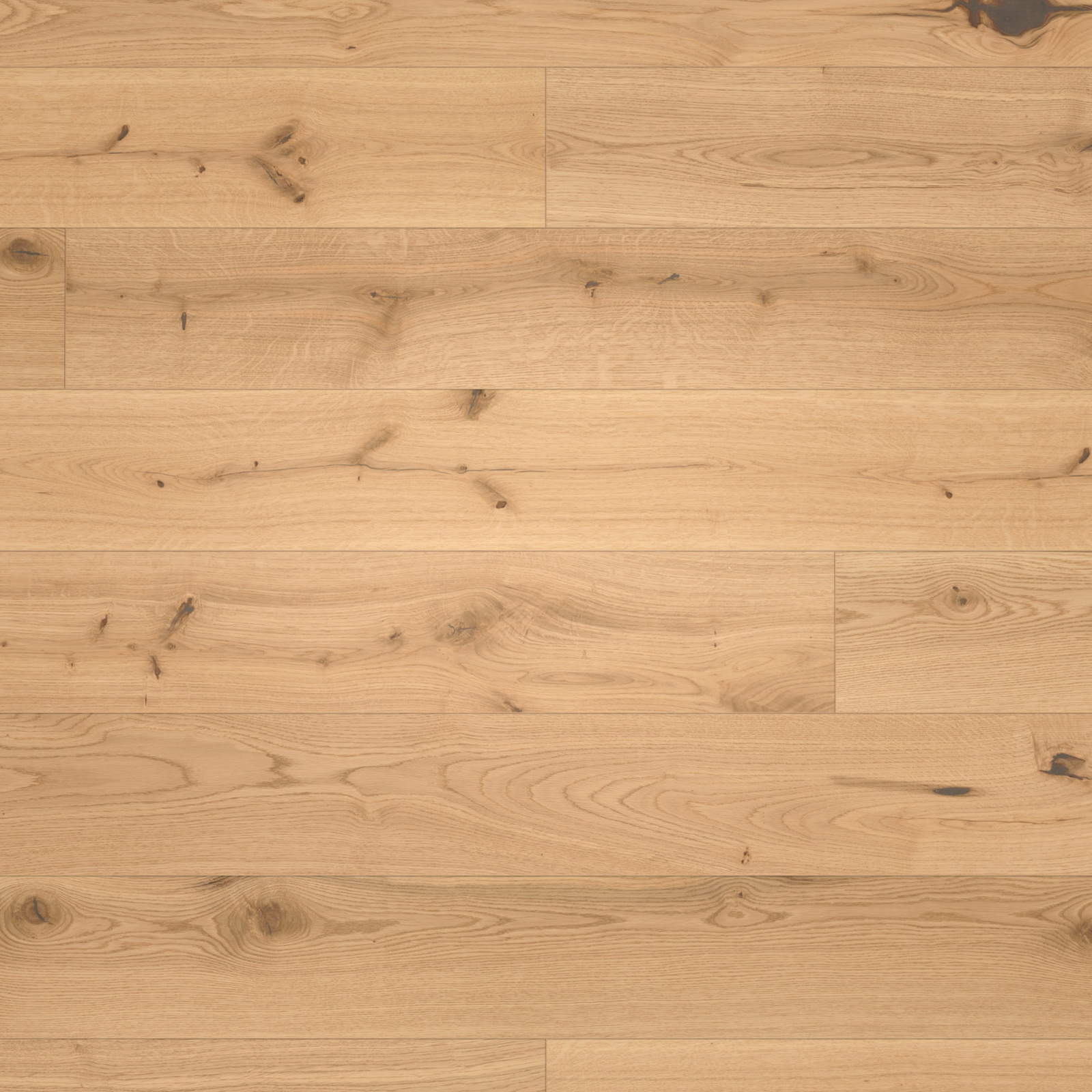 Parador Parkett Basic 11-5 Eiche Chianti leicht geweißt Character Holzstruktur Matt-Lackiert Landhausdiele