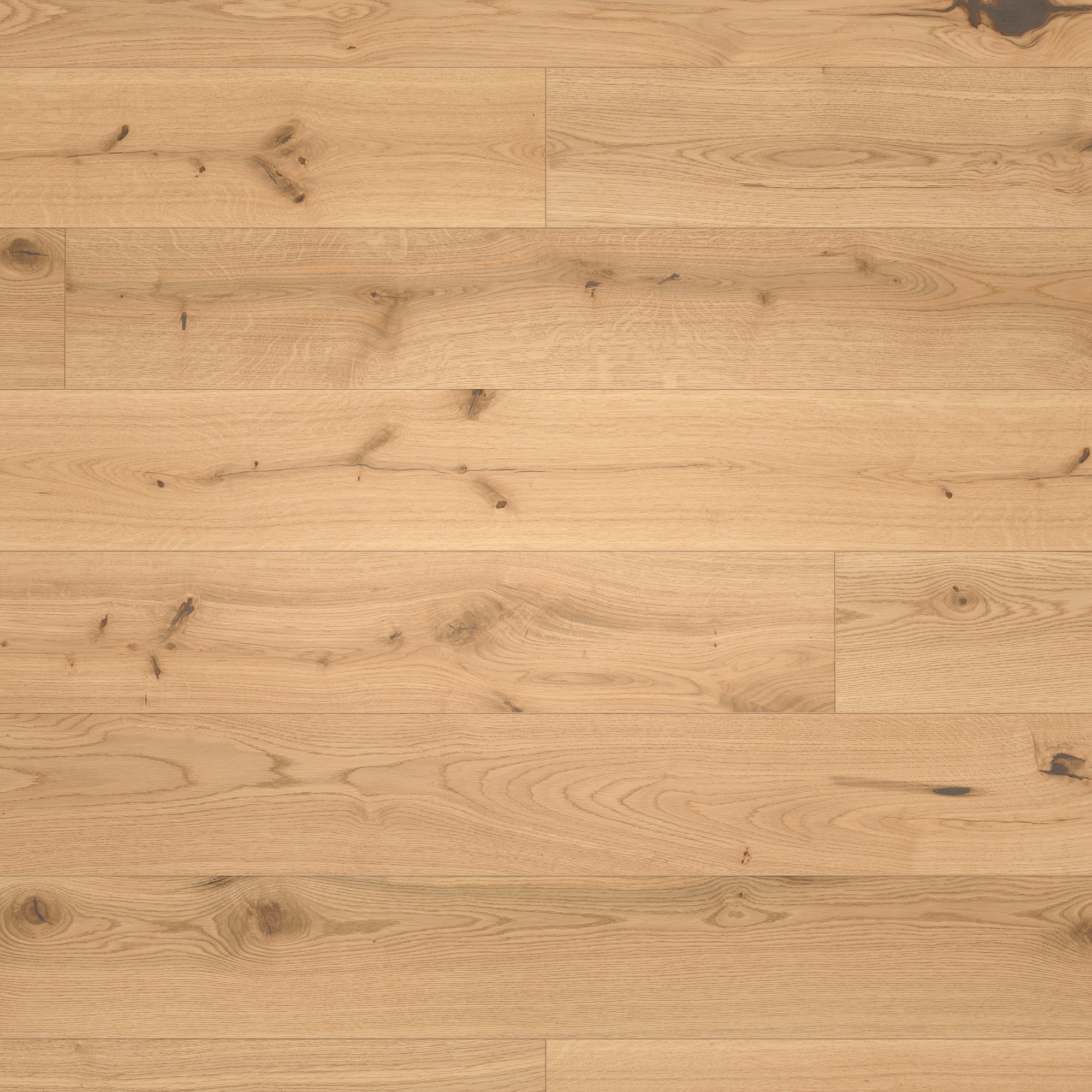 Parador Parkett Basic 11-5 Eiche Chianti leicht geweißt Character Holzstruktur Matt-Lackiert Landhausdiele Parador Parkett Basic 11-5 Eiche Chianti leicht geweißt Character Holzstruktur Matt-Lackiert Landhausdiele