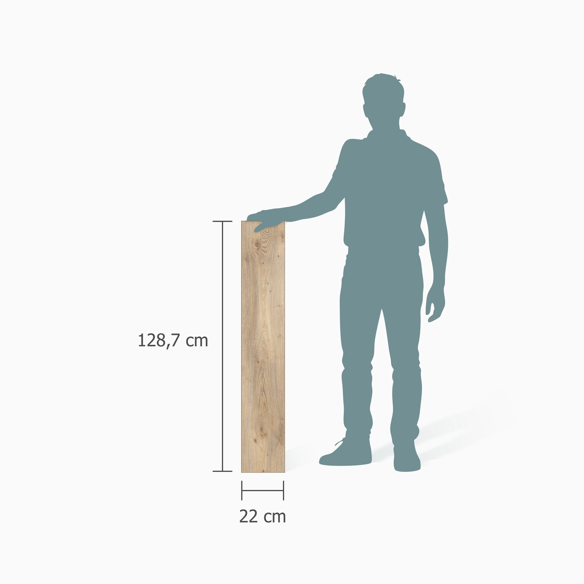 Größenverhältnis - MEISTER HDF Klick-Designboden DD 500 S Desert Oak Größenverhältnis - MEISTER 400054-1287220-06998