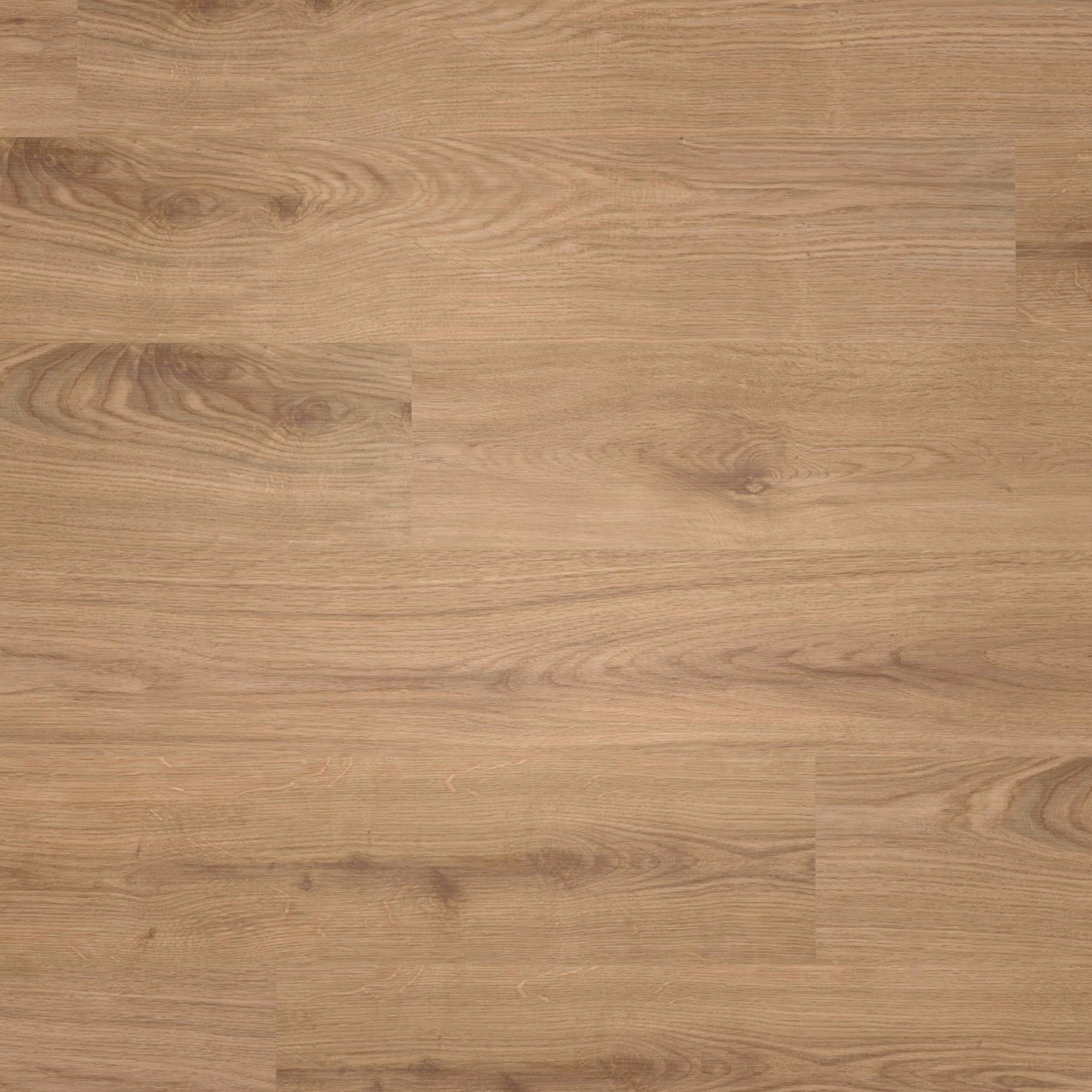 Draufsicht - wineo Klick-Bioboden PURLINE wineo 1000 wood L Strong Oak Cinnamon Draufsicht - wineo PLC301R