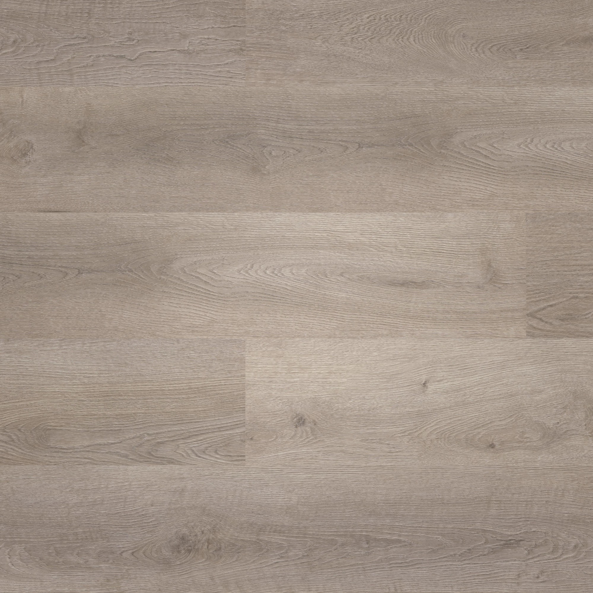 Draufsicht - wineo Klebe-Vinyl wineo 400 wood L Balanced Oak Grey Draufsicht - wineo DB287WL