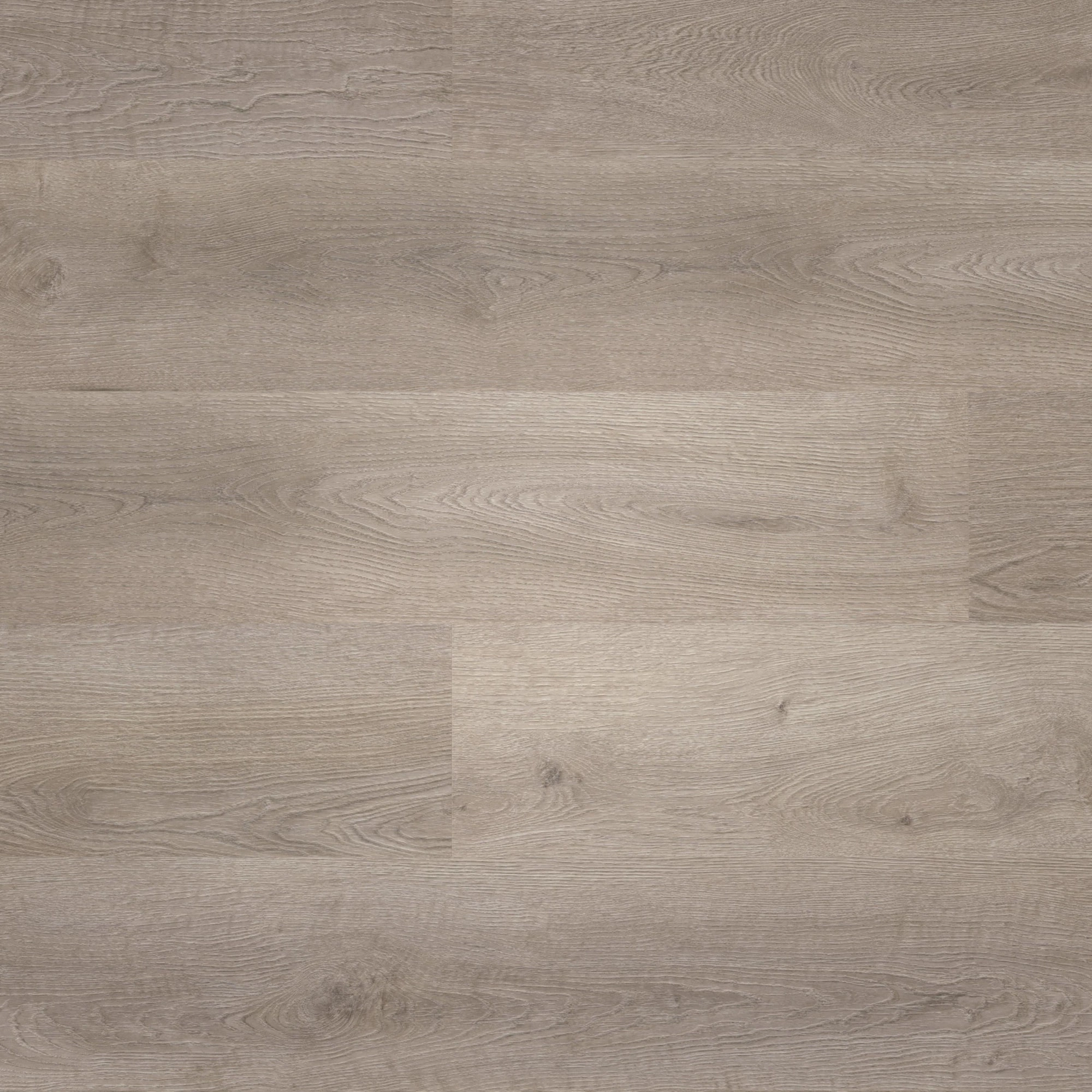 Draufsicht - wineo Klebe-Vinyl wineo 400 wood L Balanced Oak Grey Draufsicht - wineo DB287WL
