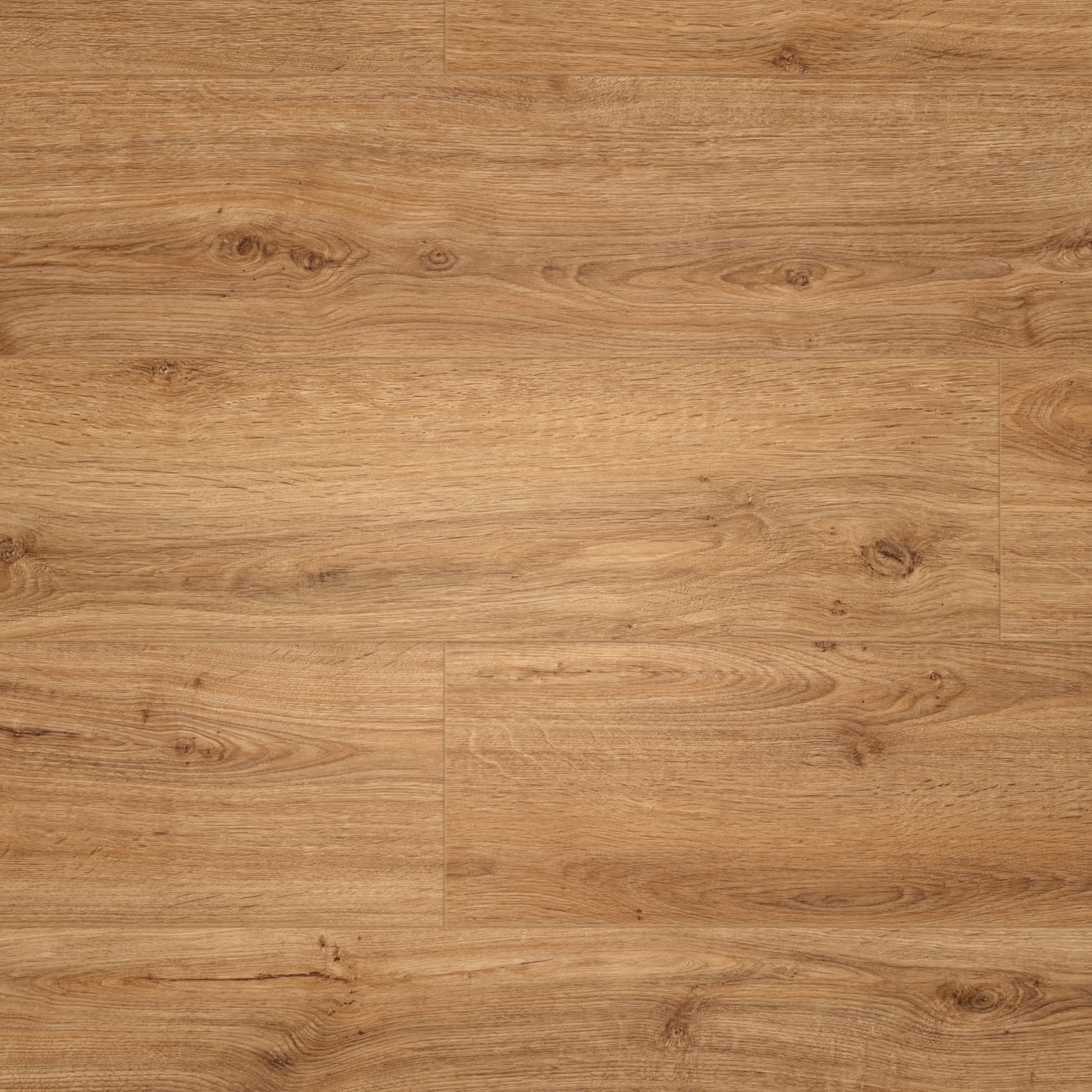 Draufsicht - MEISTER HDF Klick-Designboden DD 500 S Golden Oak Draufsicht - MEISTER 400054-1287220-06999