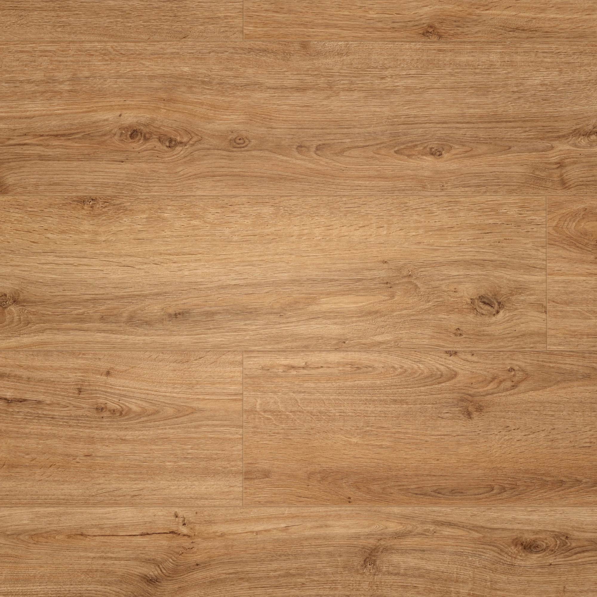 Draufsicht - MEISTER HDF Klick-Designboden DD 500 S Golden Oak Draufsicht - MEISTER 400054-1287220-06999