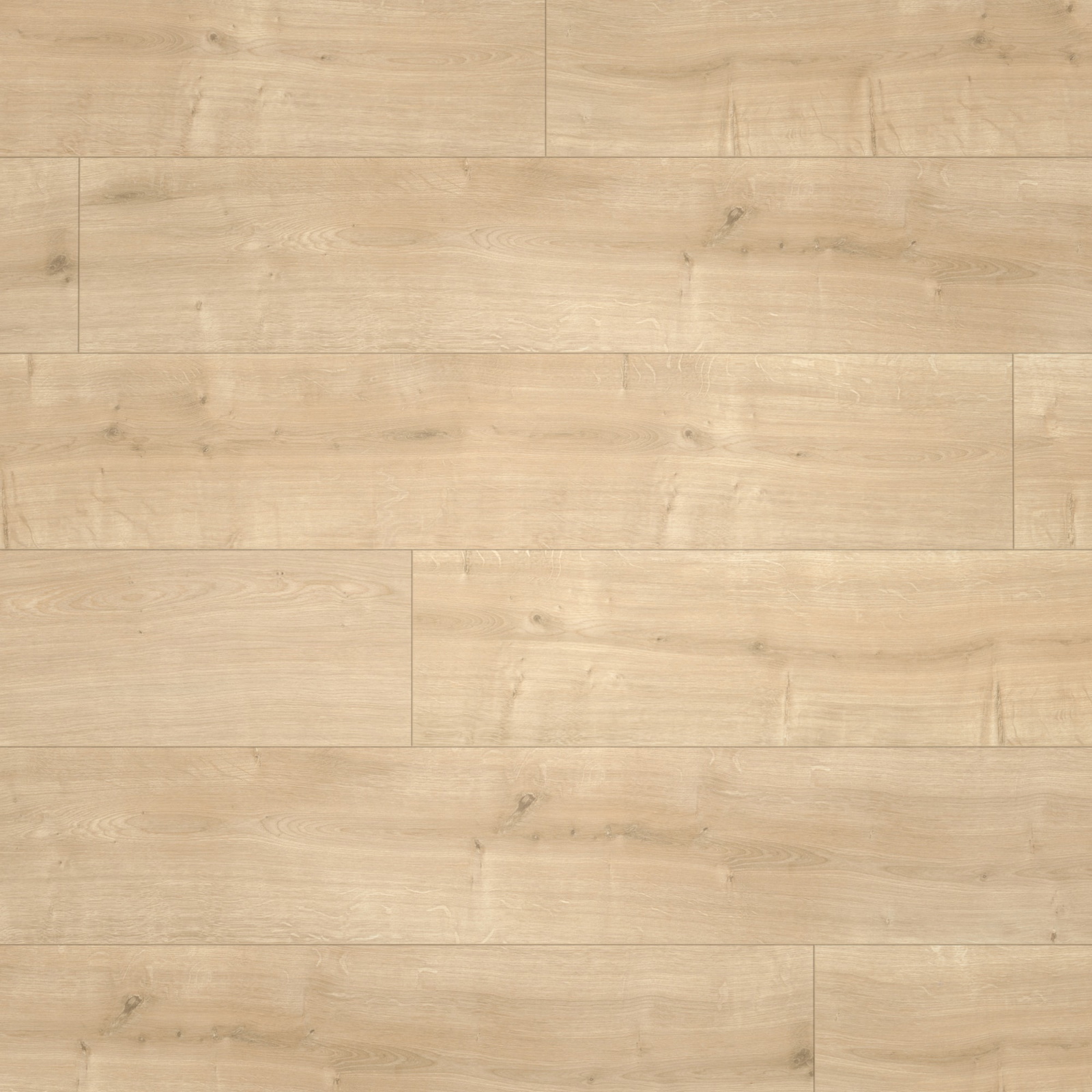 Parador Laminat Basic 400 Eiche geschliffen Seidenmatte Struktur 4V