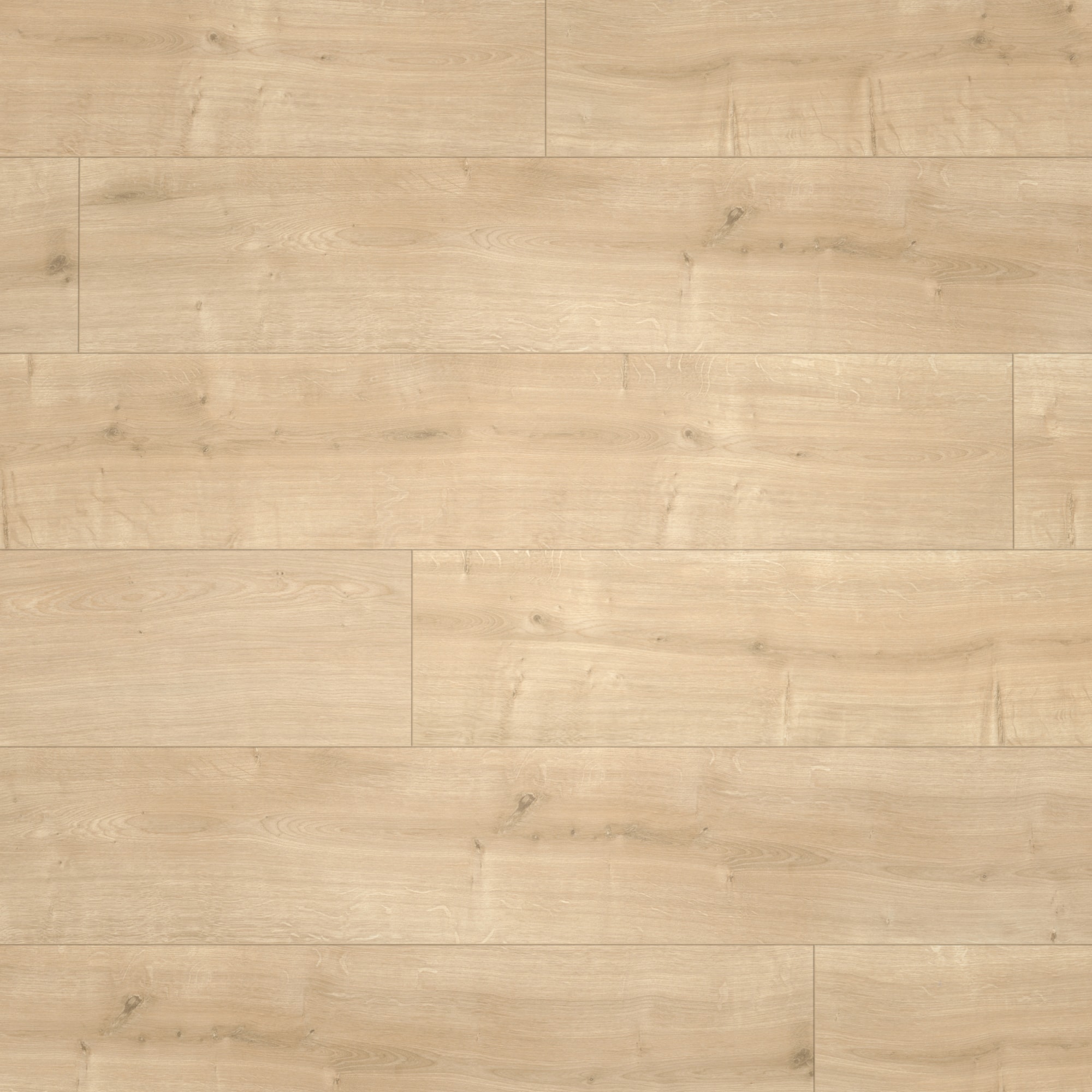 Parador Laminat Basic 400 Eiche geschliffen Seidenmatte Struktur 4V