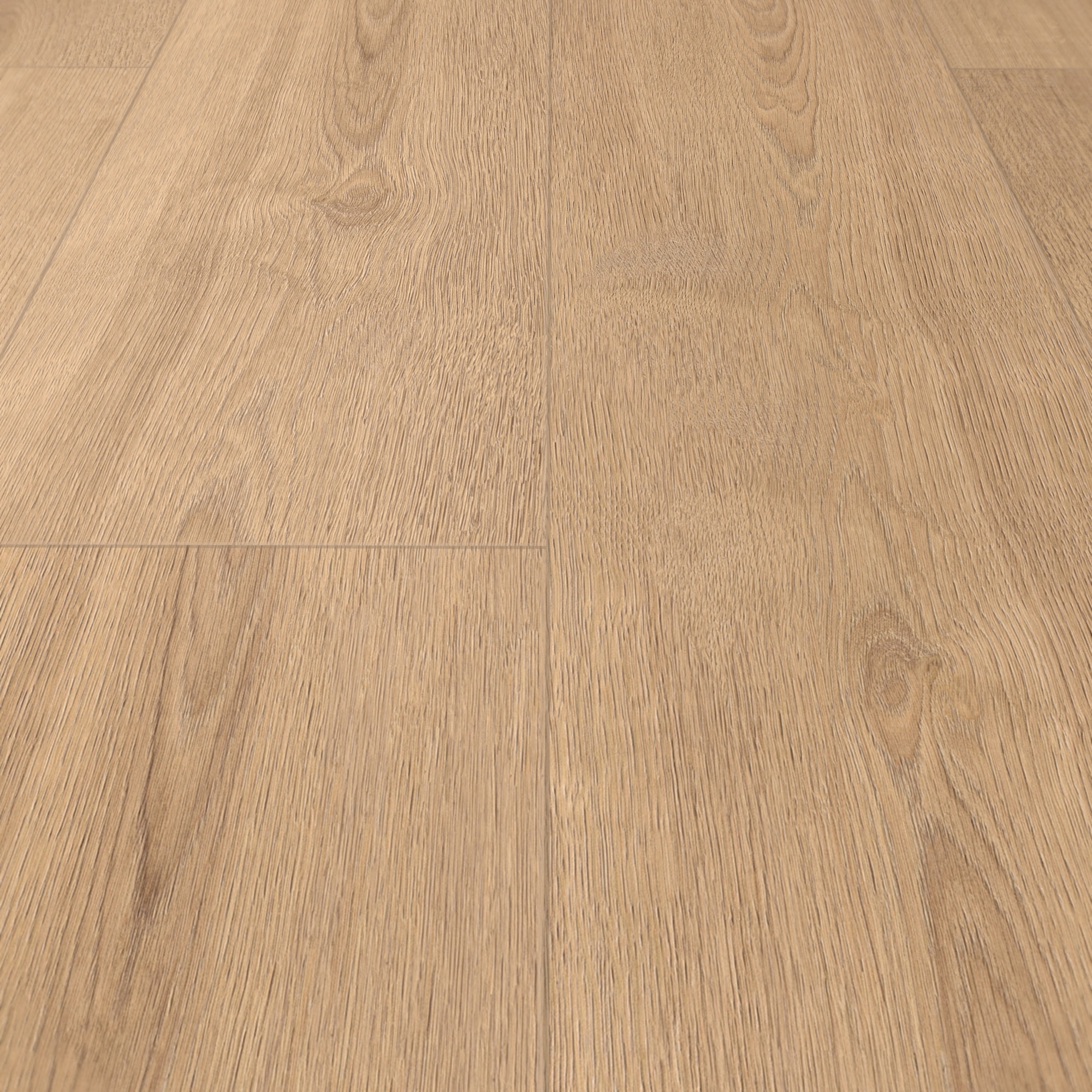 Detail Ansicht - MEISTER 400053-1290253-07451