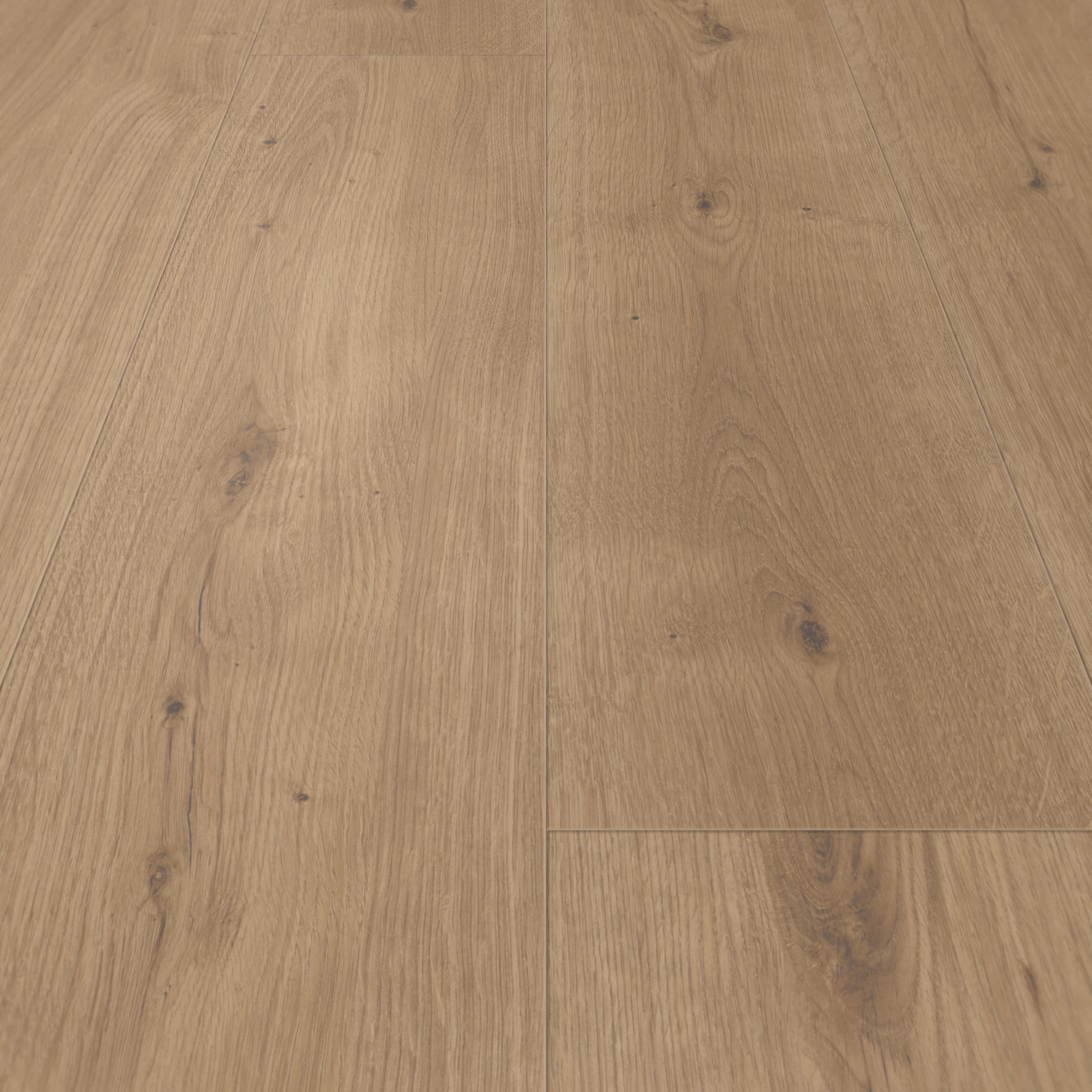 Parador HDF Klick-Designboden Modular ONE Eiche Atmosphere umbra Authentische Struktur mit Synchronstruktur Landhausdiele