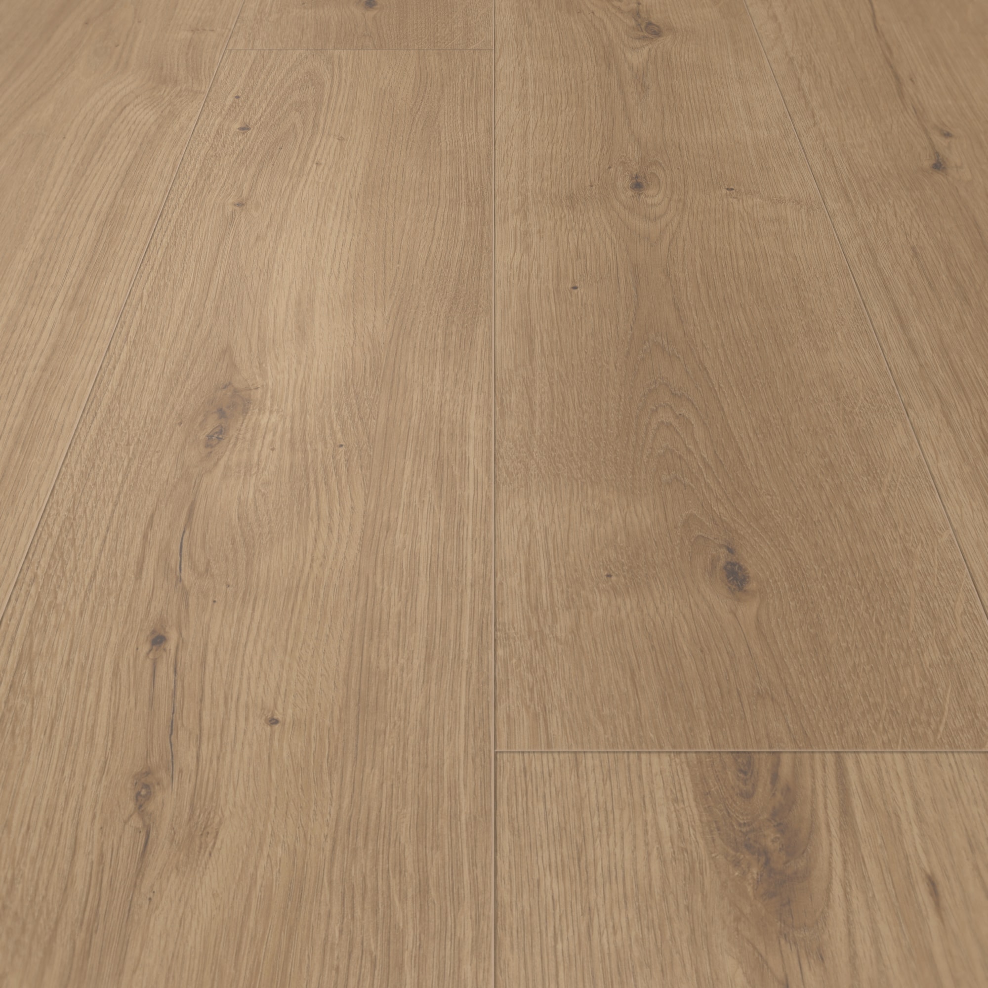 Parador HDF Klick-Designboden Modular ONE Eiche Atmosphere umbra Authentische Struktur mit Synchronstruktur Landhausdiele Parador HDF Klick-Designboden Modular ONE Eiche Atmosphere umbra Authentische Struktur mit Synchronstruktur Landhausdiele