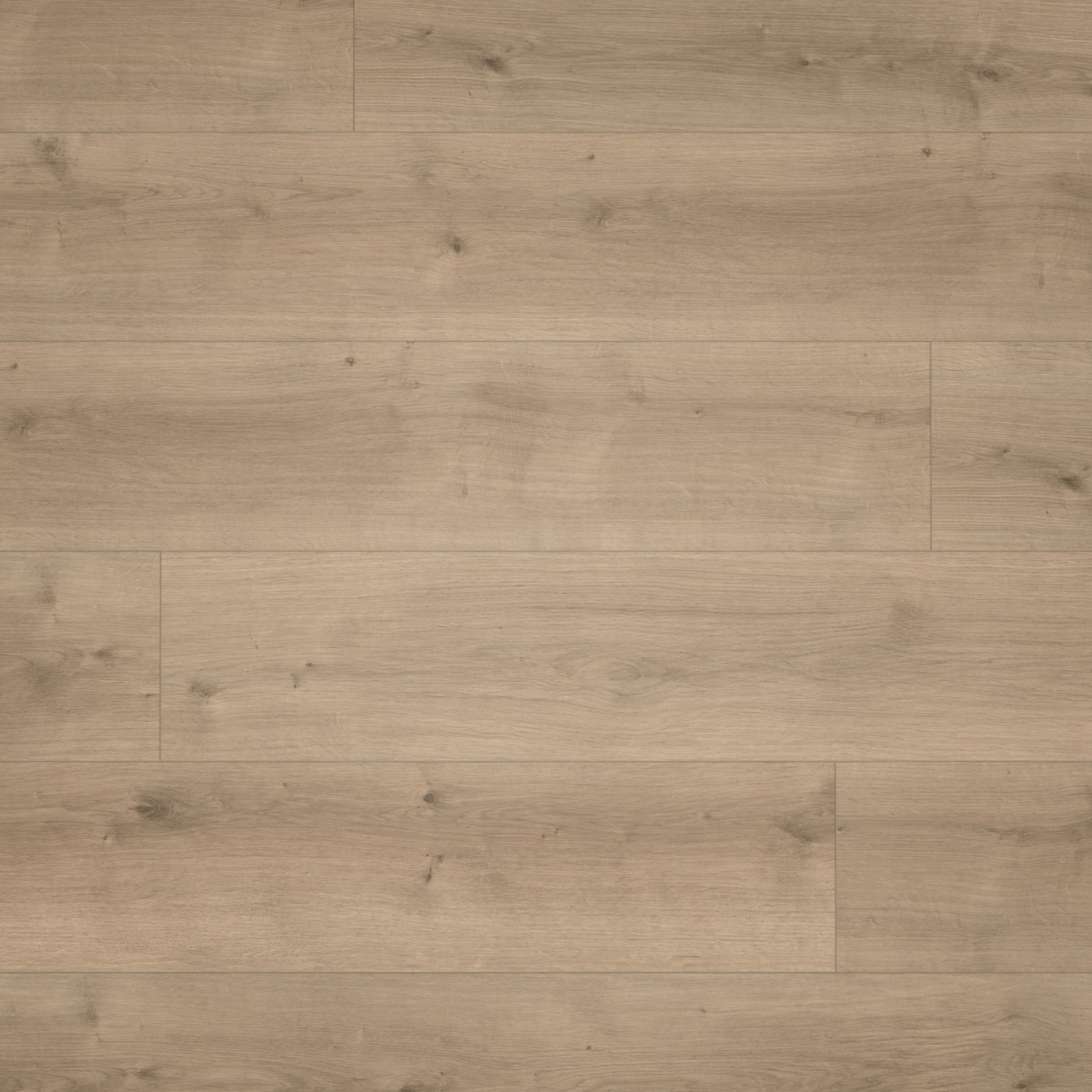 Parador HDF Klick-Designboden Modular ONE Eiche Pure perlgrau Holzstruktur Schlossdiele