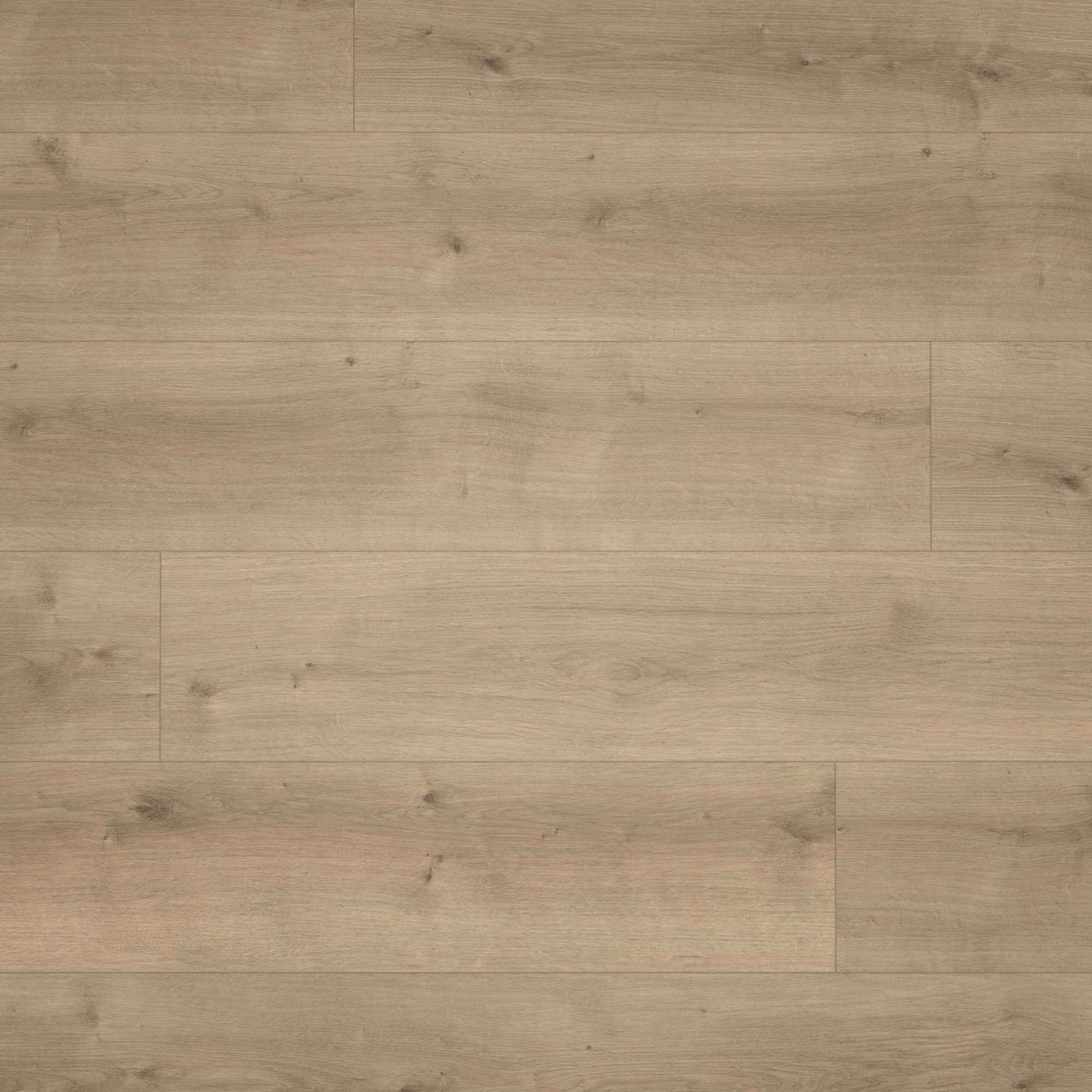 Parador HDF Klick-Designboden Modular ONE Eiche Pure perlgrau Holzstruktur Schlossdiele Parador HDF Klick-Designboden Modular ONE Eiche Pure perlgrau Holzstruktur Schlossdiele