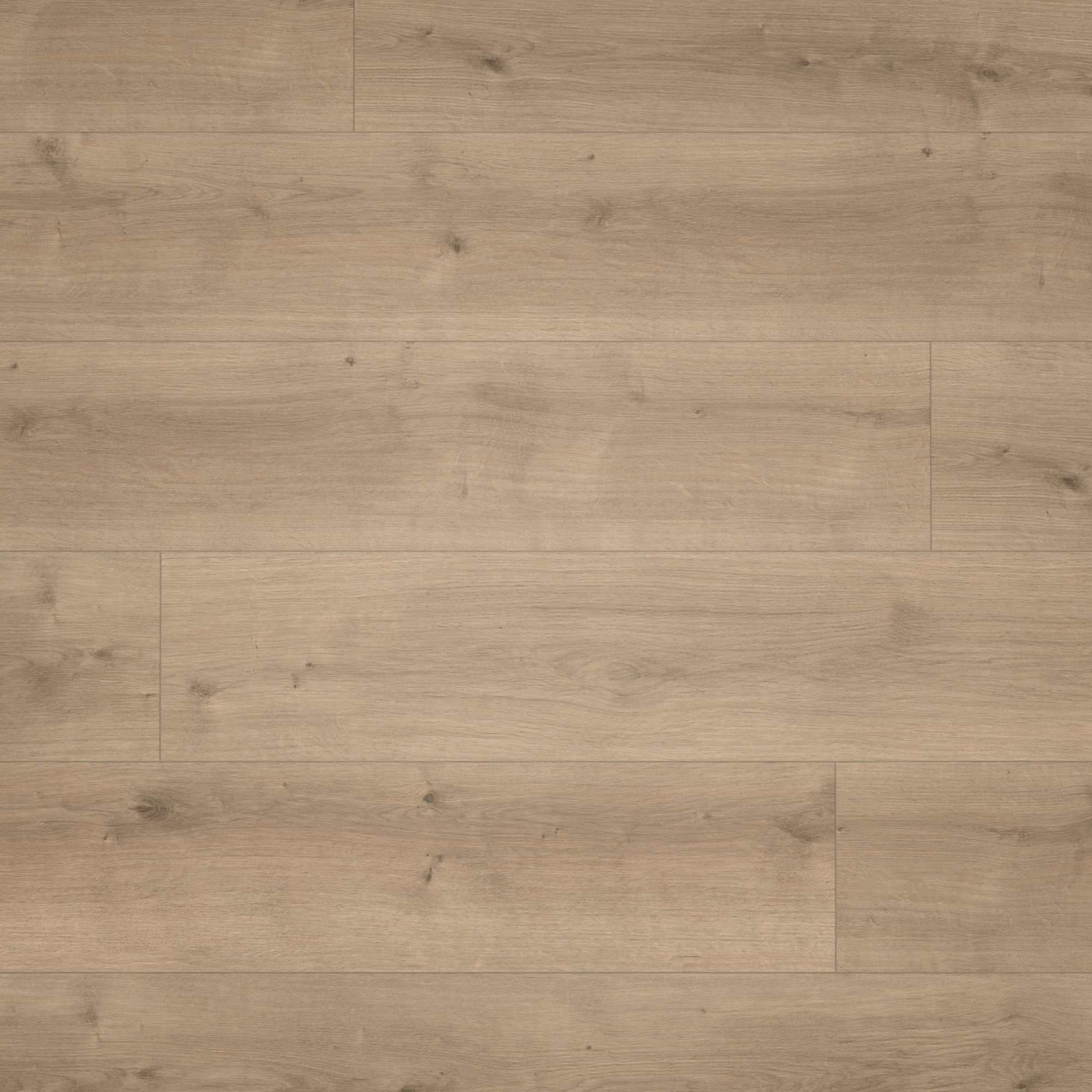 Parador HDF Klick-Designboden Modular ONE Eiche Pure perlgrau Holzstruktur Schlossdiele Parador HDF Klick-Designboden Modular ONE Eiche Pure perlgrau Holzstruktur Schlossdiele