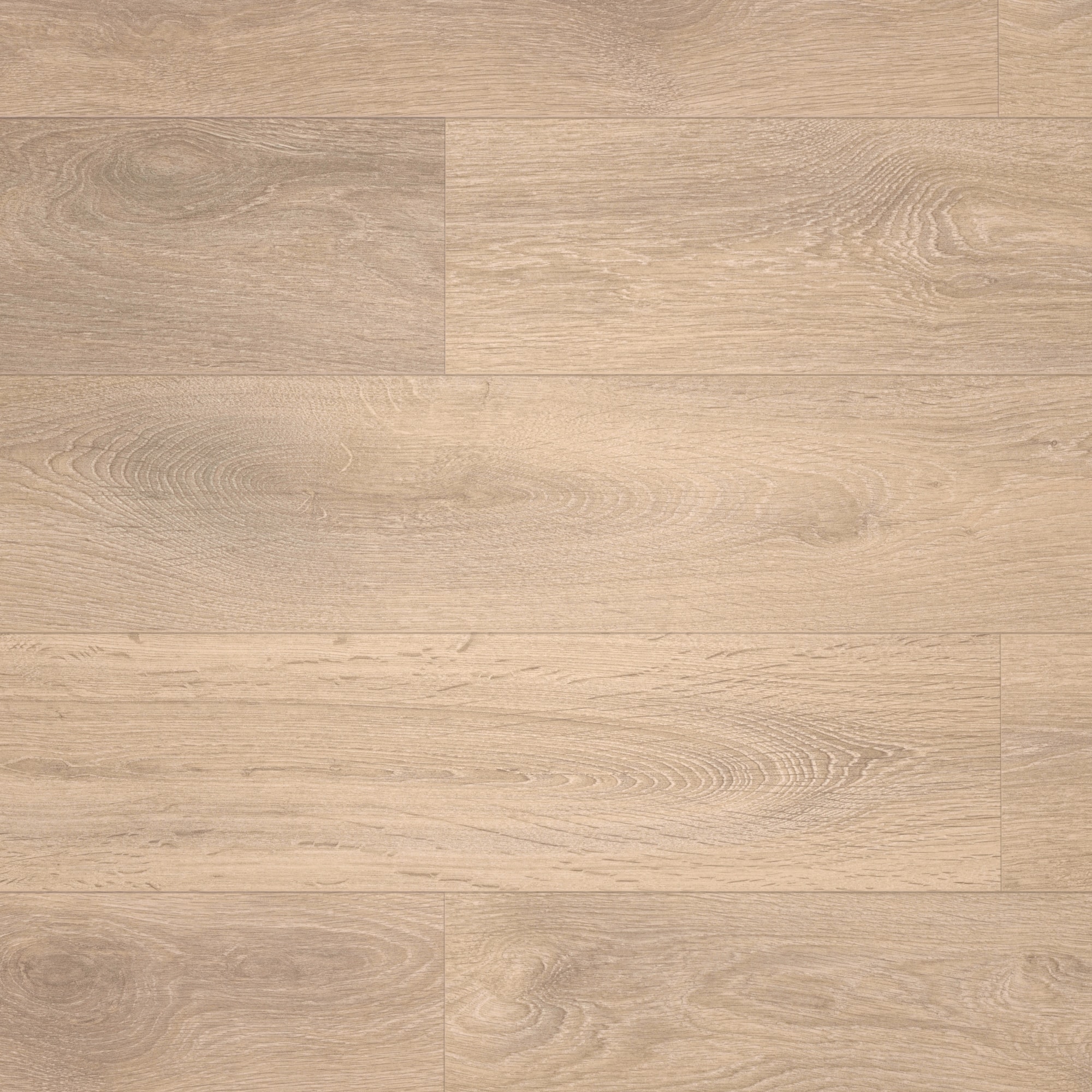 Draufsicht - Meister Laminat LD 150 Eiche sand Draufsicht - Meister 600017-1288198-07004