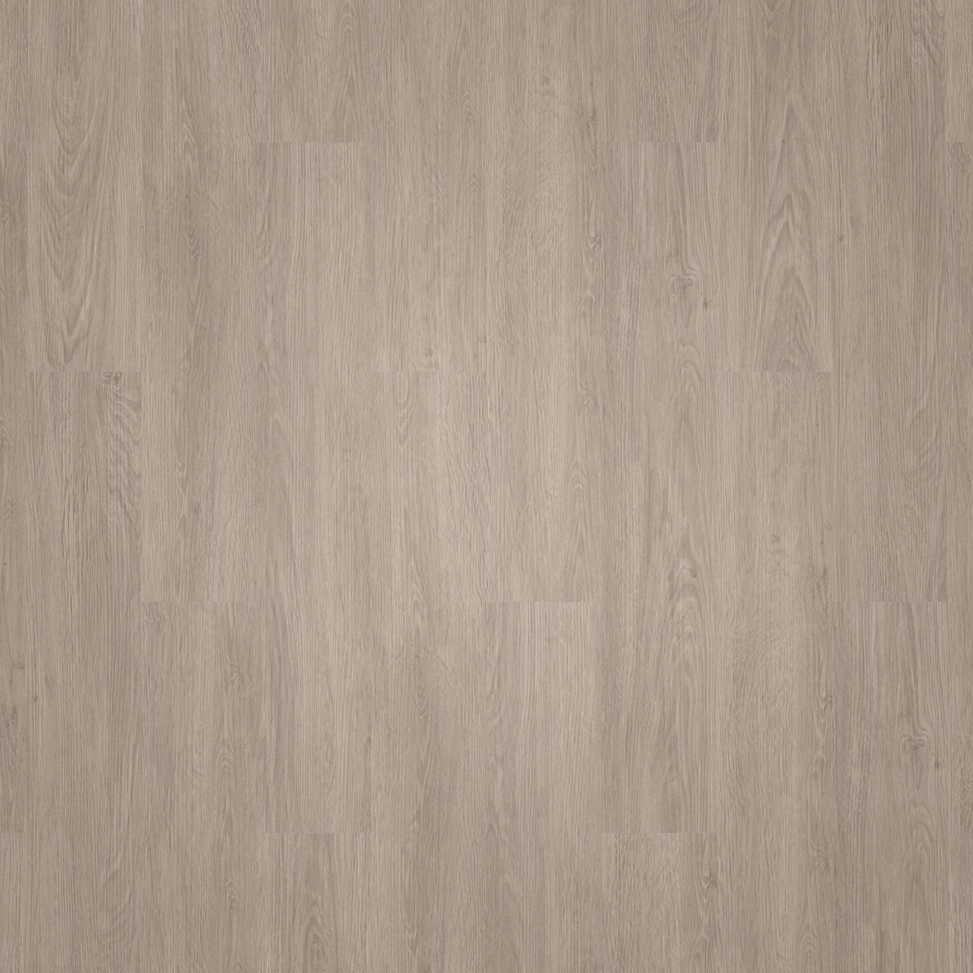 Draufsicht - Tarkett Klebe-Vinyl Essence 55 Cool Oak Light Beige Draufsicht - Tarkett 260053002