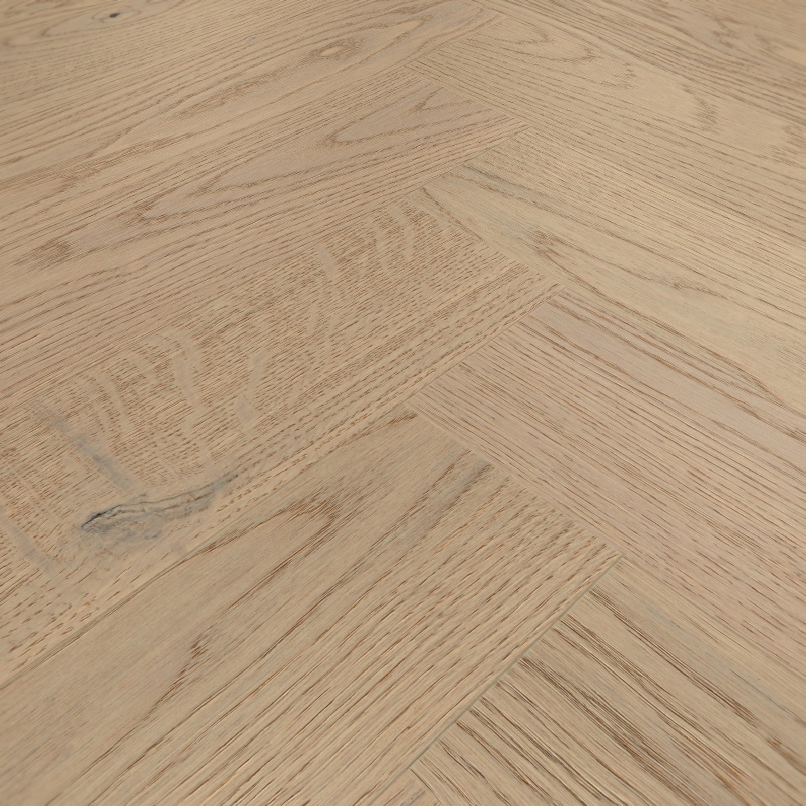 Detail Ansicht - MEISTER 500010-0700140-20232